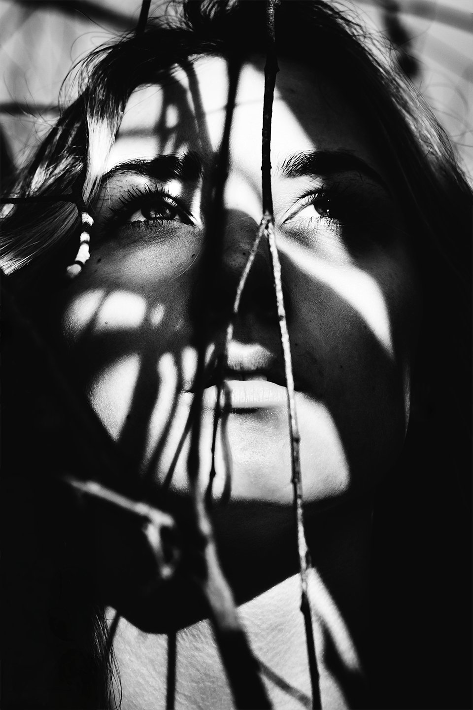 Entwined-in-Silence-2018.jpg