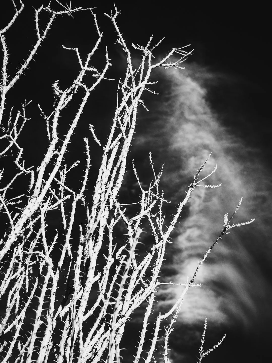DSCF4706.jpg