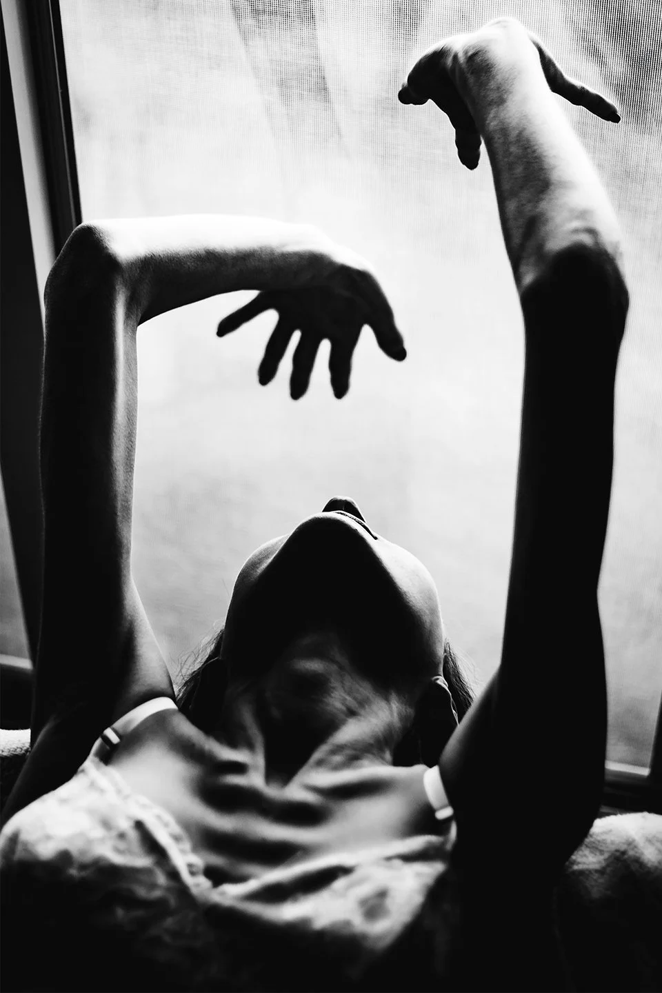 Toward-the-Light-2018.jpg