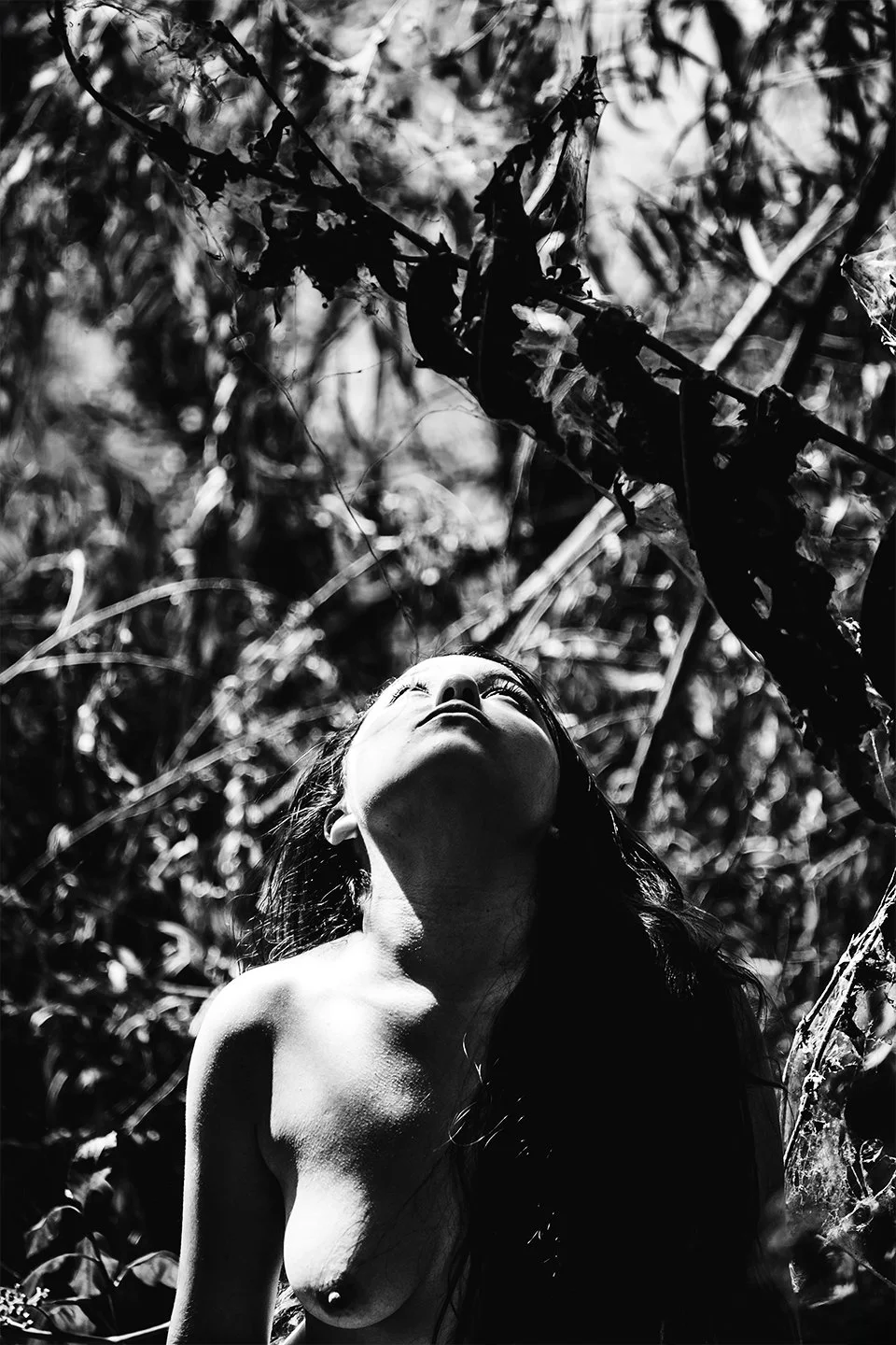 Looking-for-Eden-2017.jpg