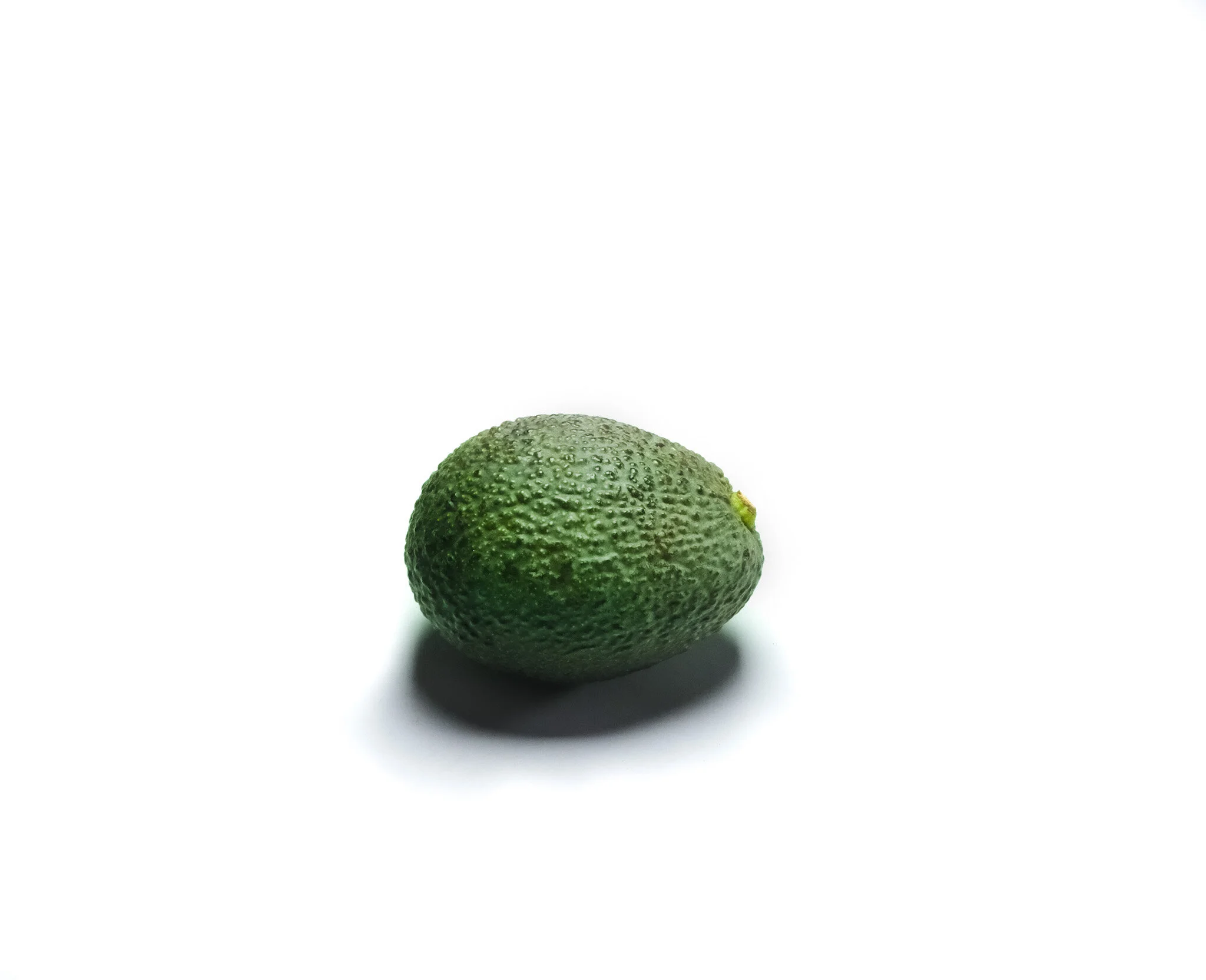 6F3F0291-1A4B-4A39-AF4B-522442A8D513.jpeg