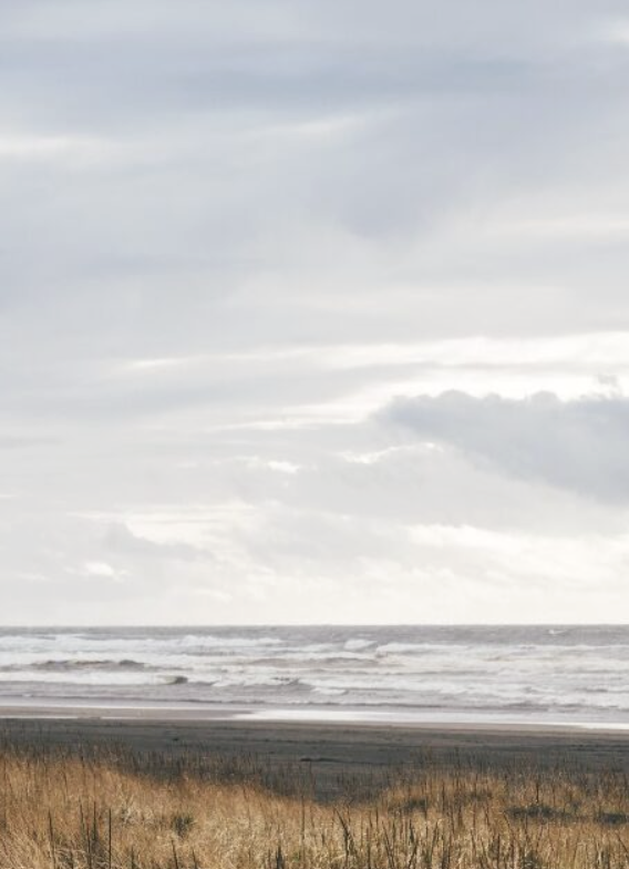 Screenshot 2026-02-25 at 6.34.53 PM.png