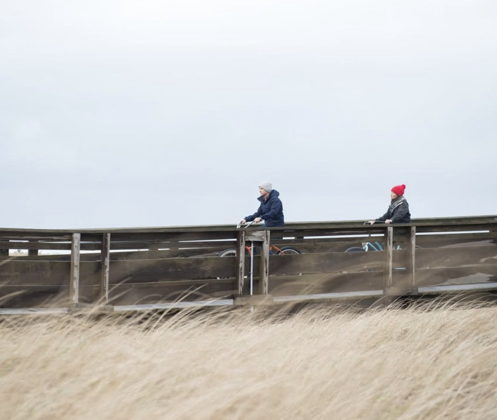 Screenshot 2026-02-13 at 11.41.38 AM.png