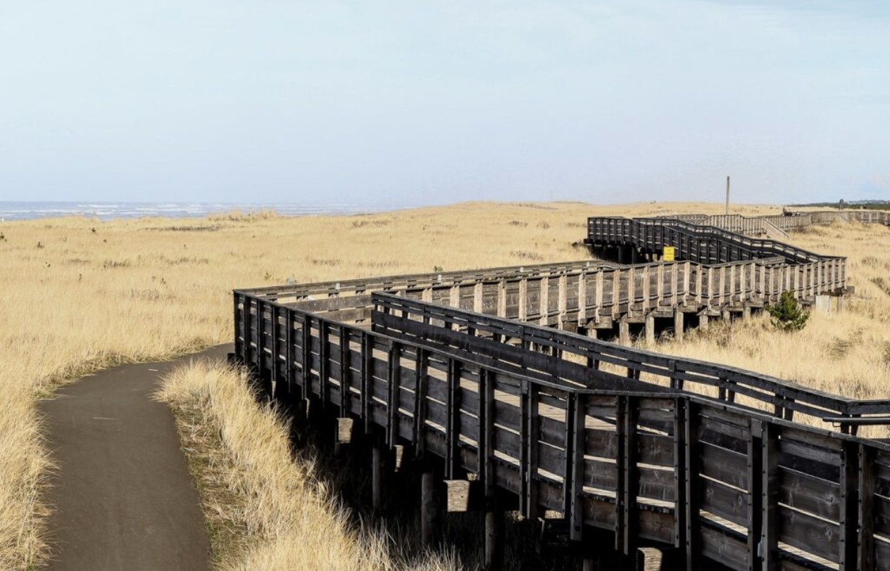 Screenshot 2026-03-03 at 4.16.21 PM.png