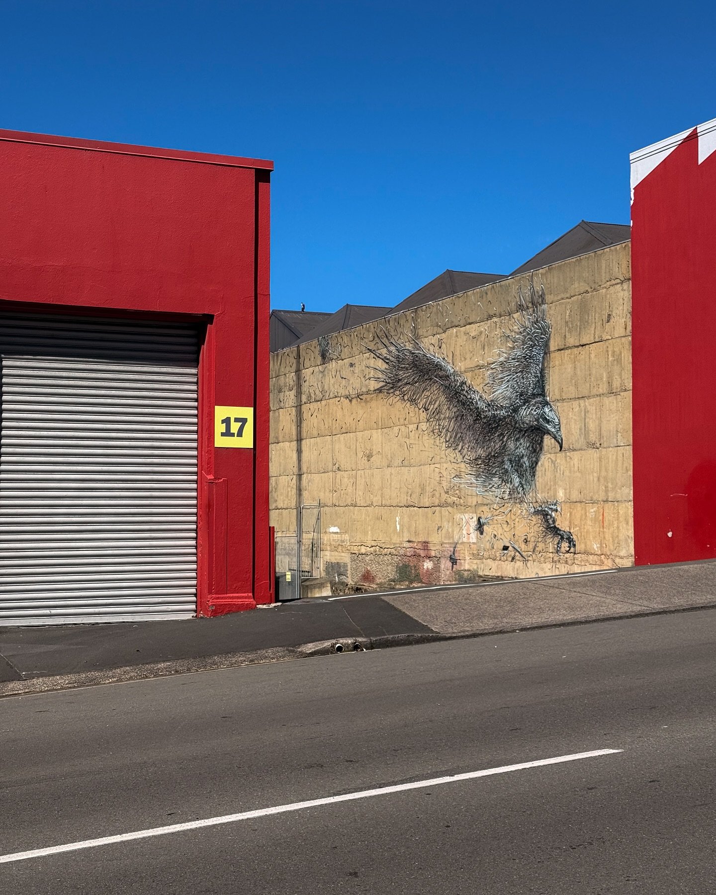 Street works. Ōtepoti Dunedin, Aotearoa New Zealand. February&ndash;March 2025. (Dal East, Phlegm, Nespoon, Hyuro, Pixel Pancho, ROA, Fintan Magee, Faith47, local interventions.)