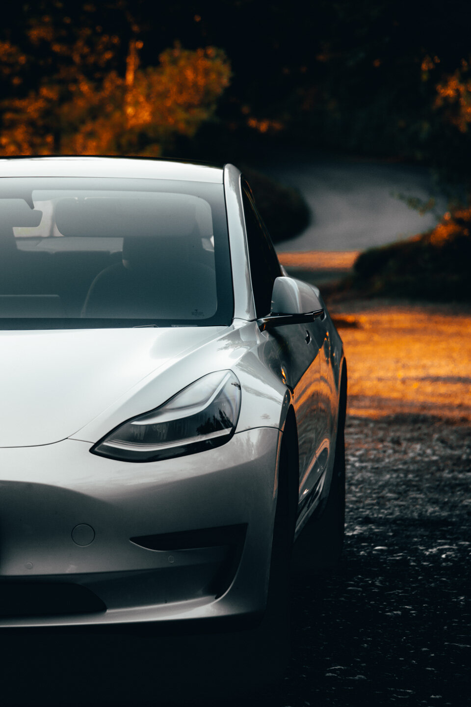 Green Energy, Tesla