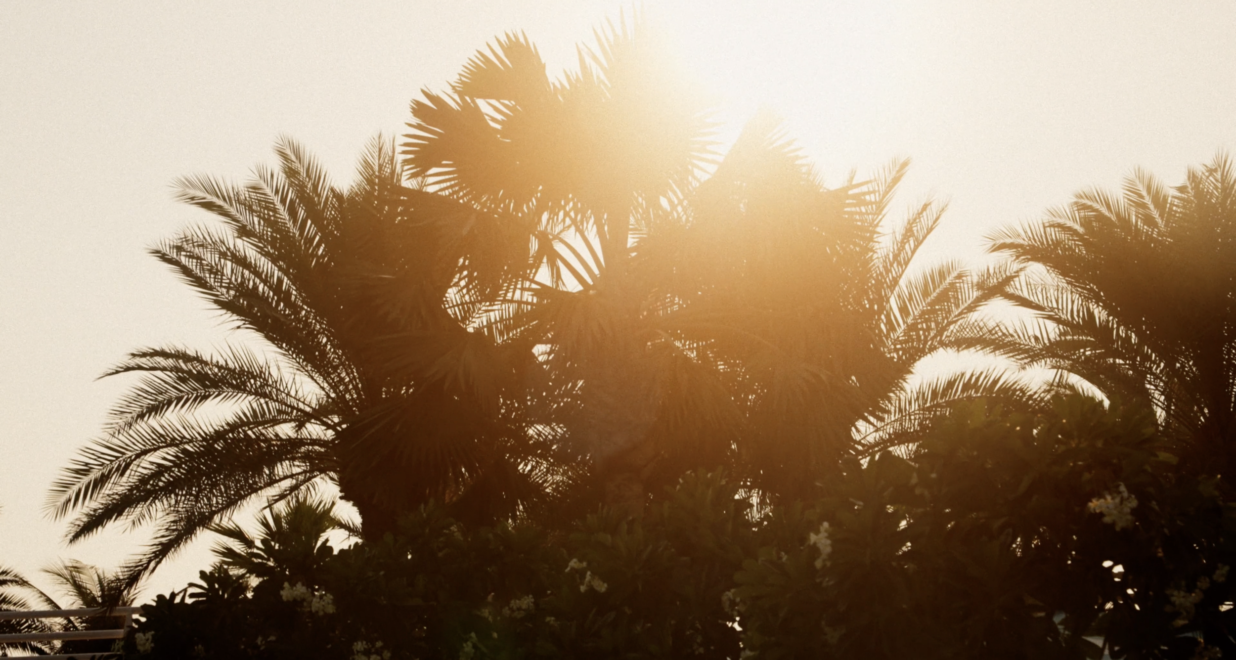 JBH_Beach_Hotel_00010.png