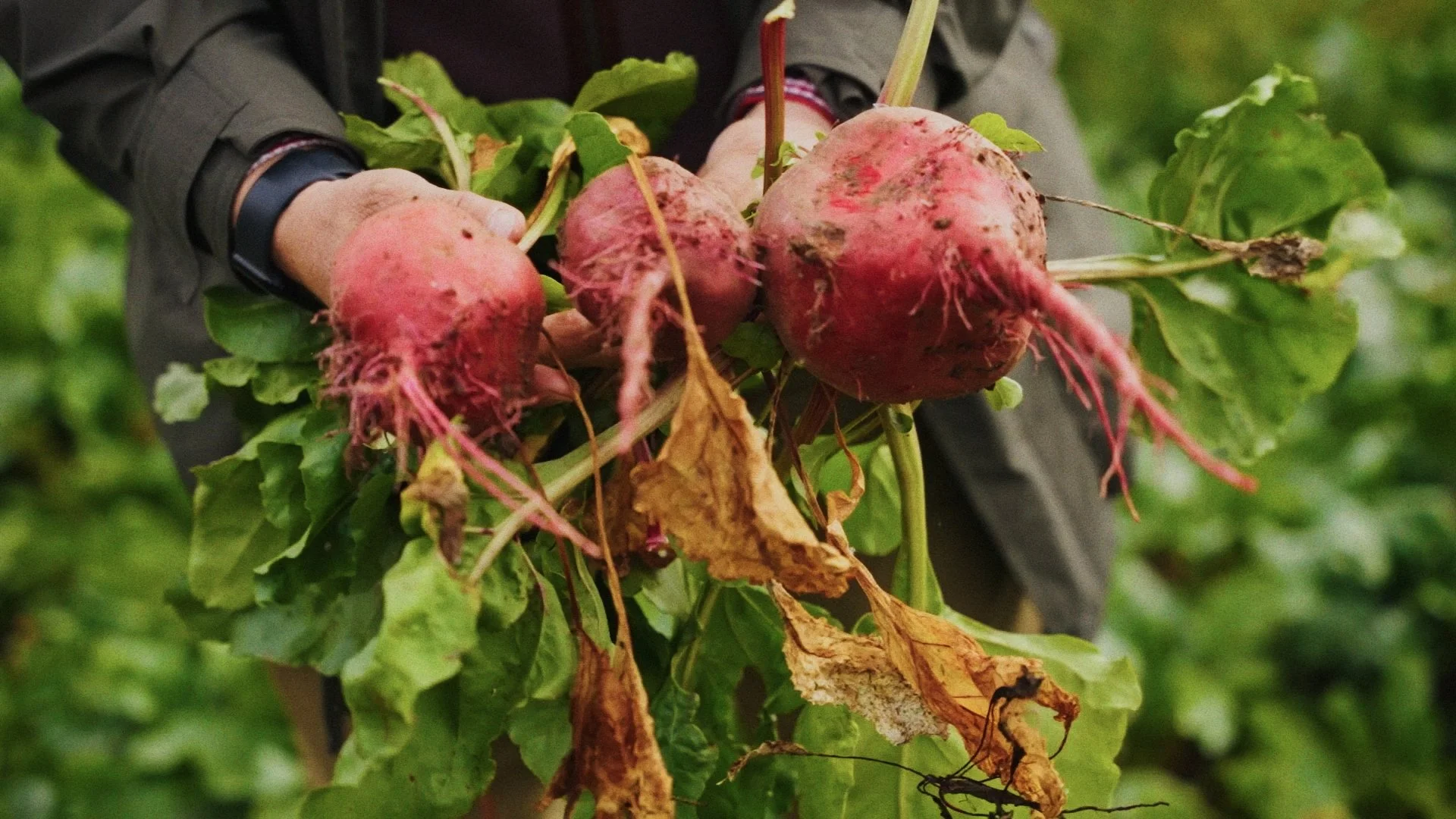 Website and Social Media Content_01_00_00_14.jpg