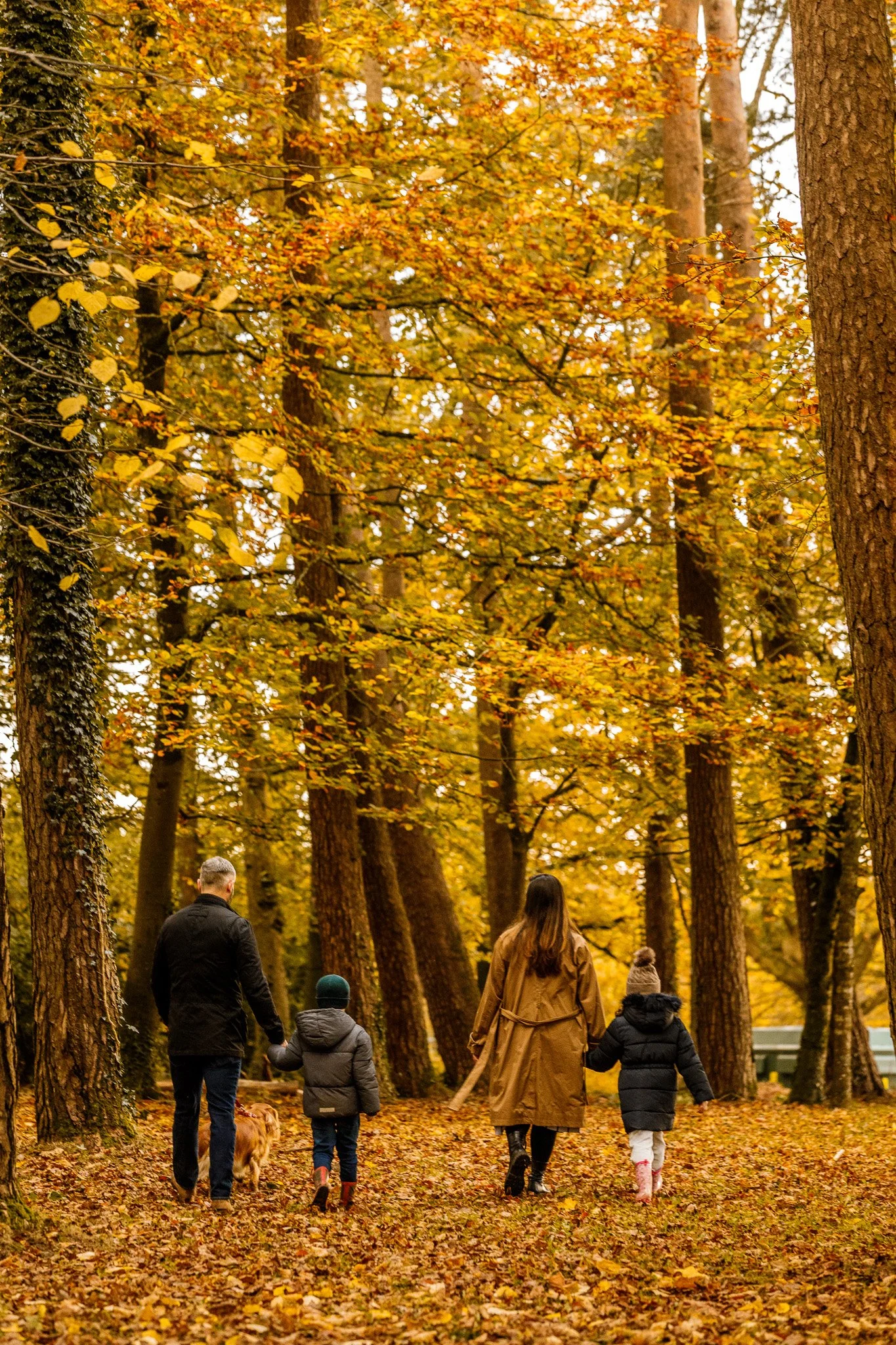 The Mole Resort, Autumn Lifestyle