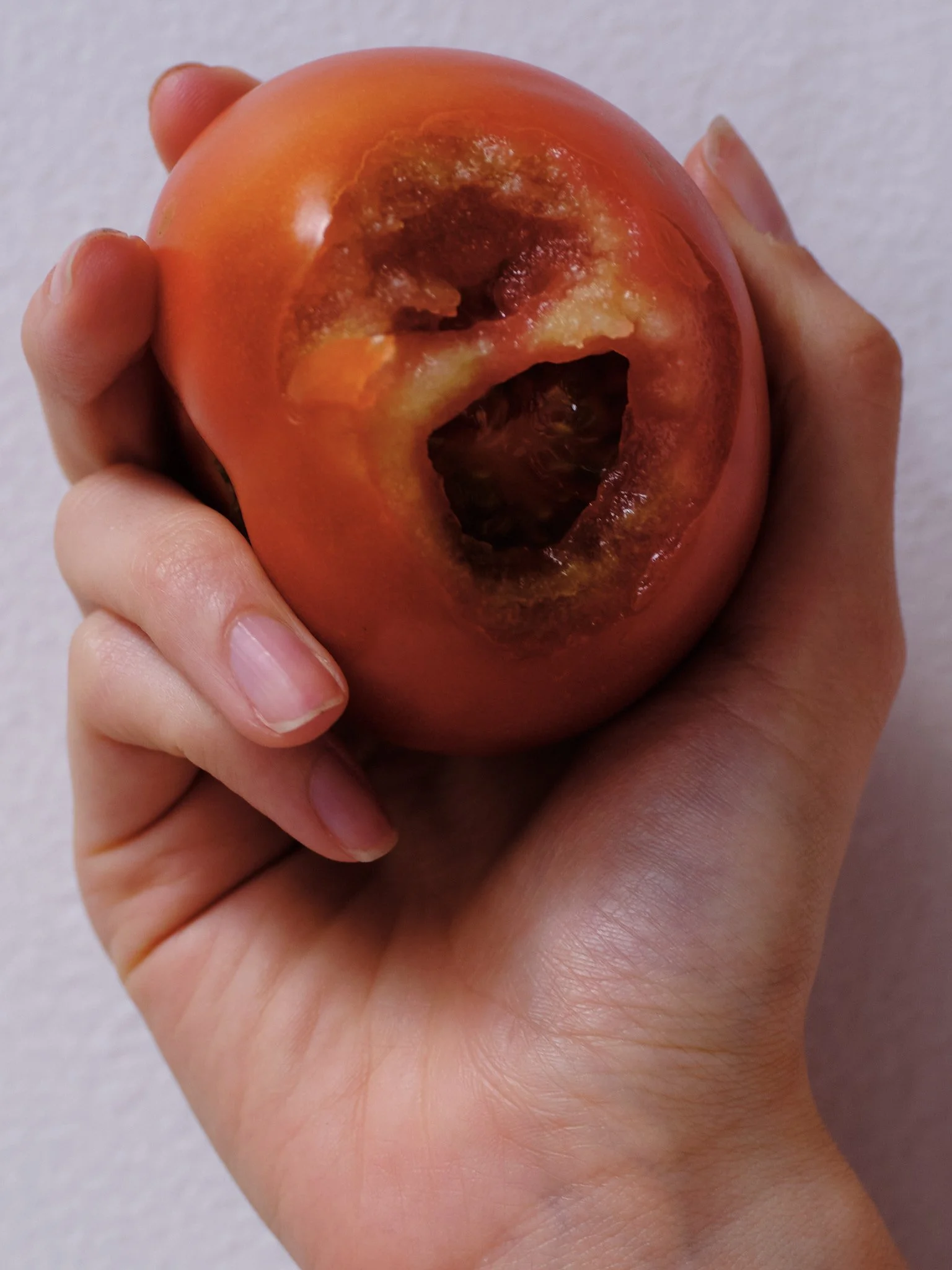 DSCF2488.jpg