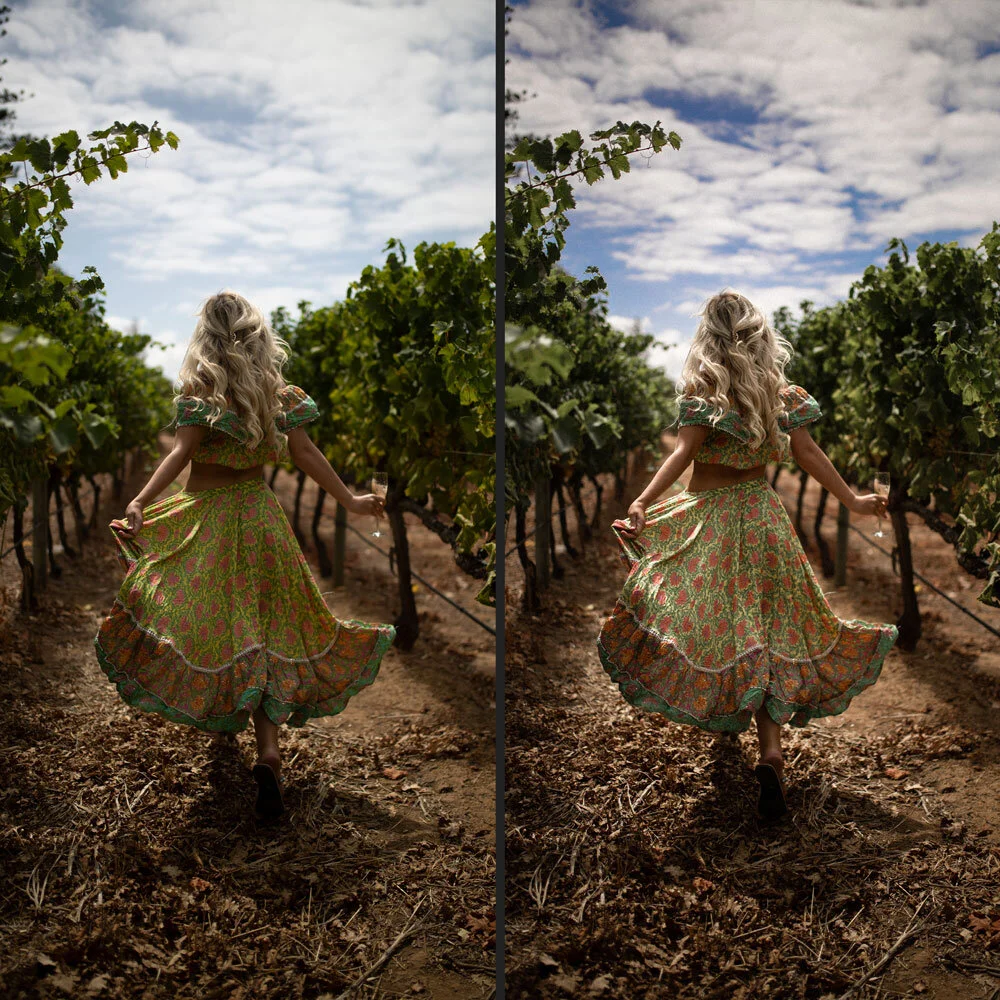 Vinyard-Vibes.jpg