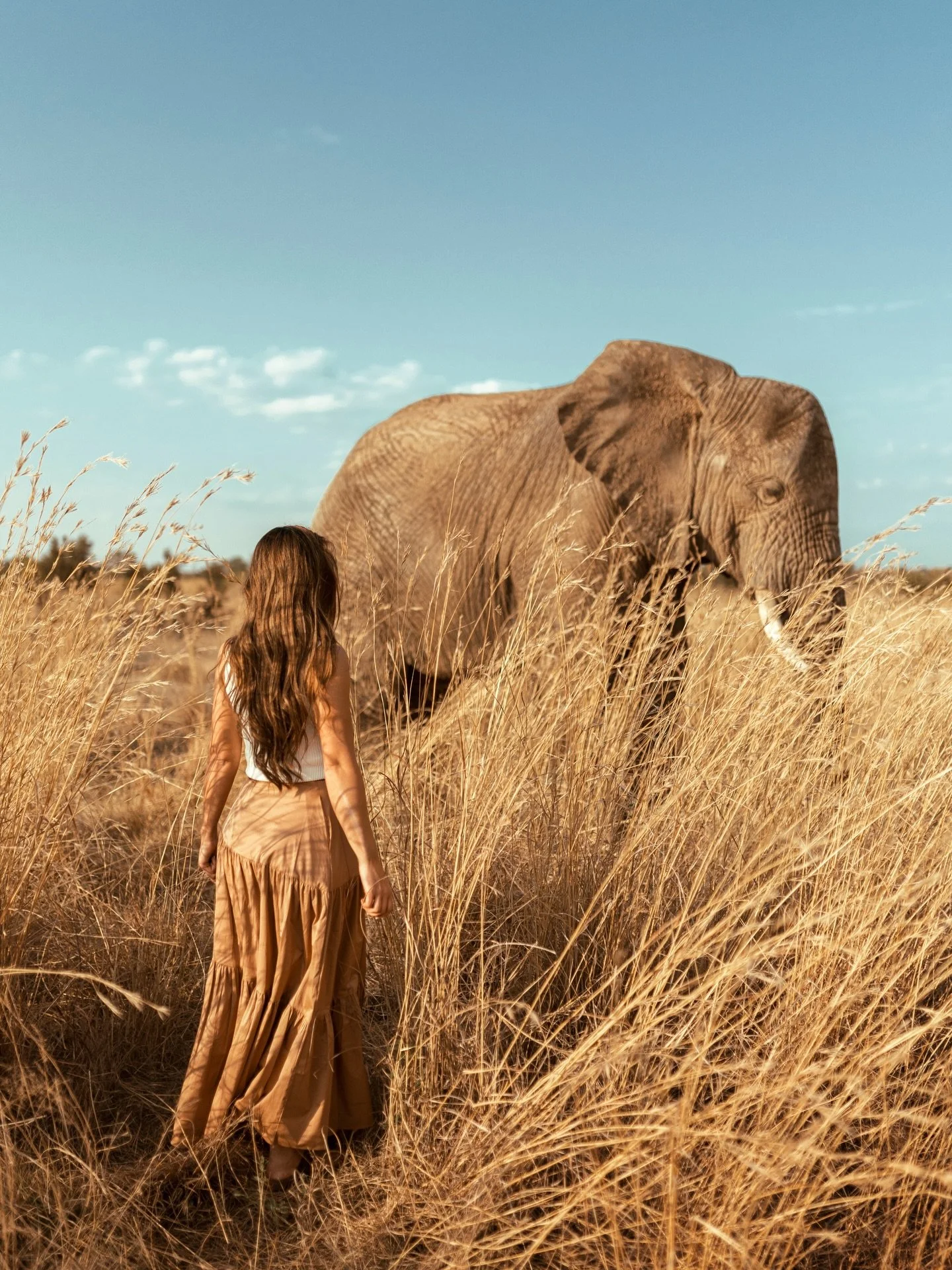 There&rsquo;s a quiet intelligence in an elephant&rsquo;s eyes.
Gentle giants that move through the land with patience, memory, and a kind of calm power that doesn&rsquo;t need to prove itself.

Watching them in the wild, you realize they aren&rsquo;