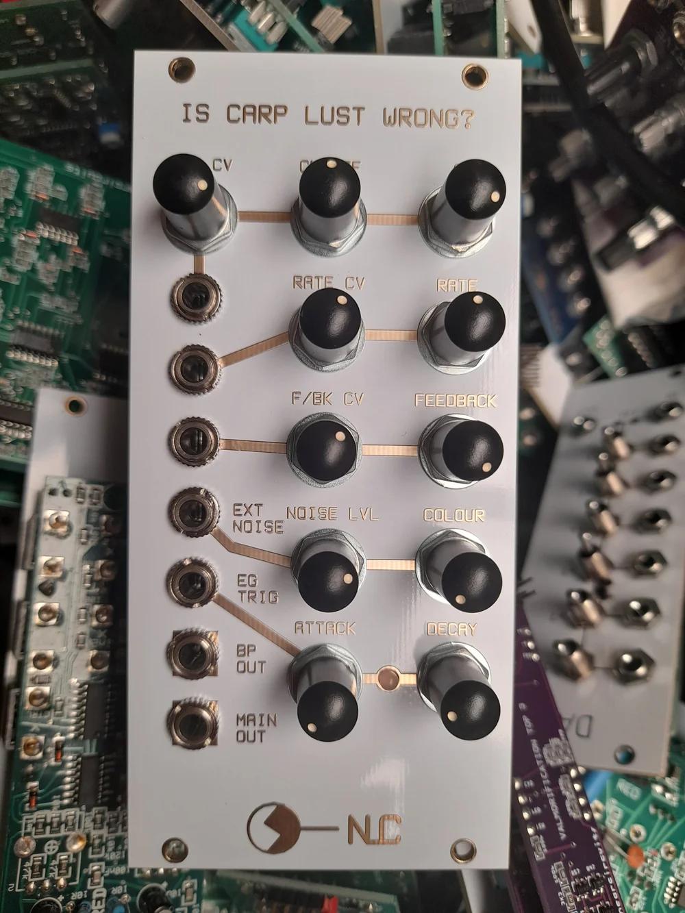 Is Carp Lust Wrong? — Nonlinearcircuits