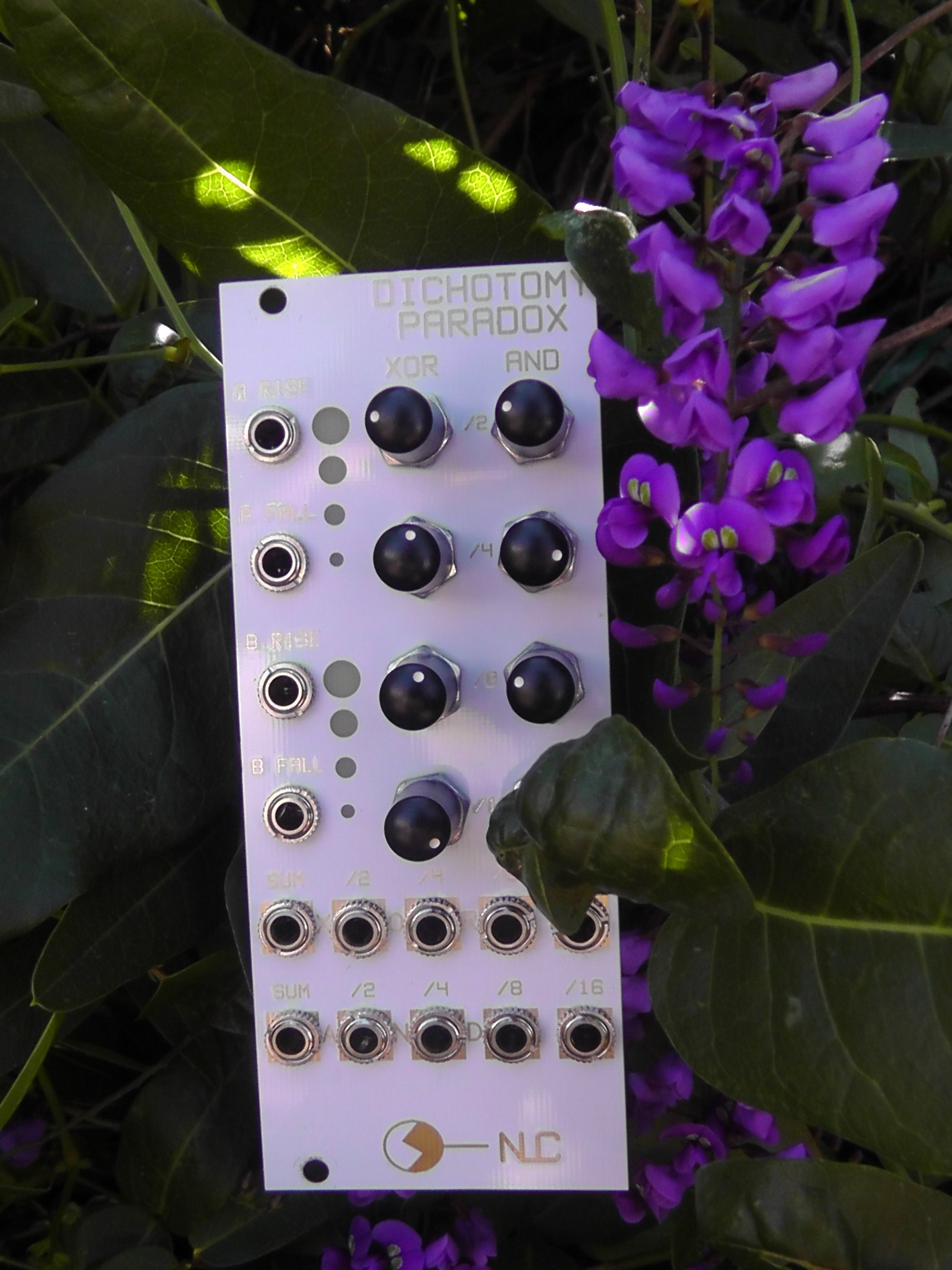 S5210036.JPG