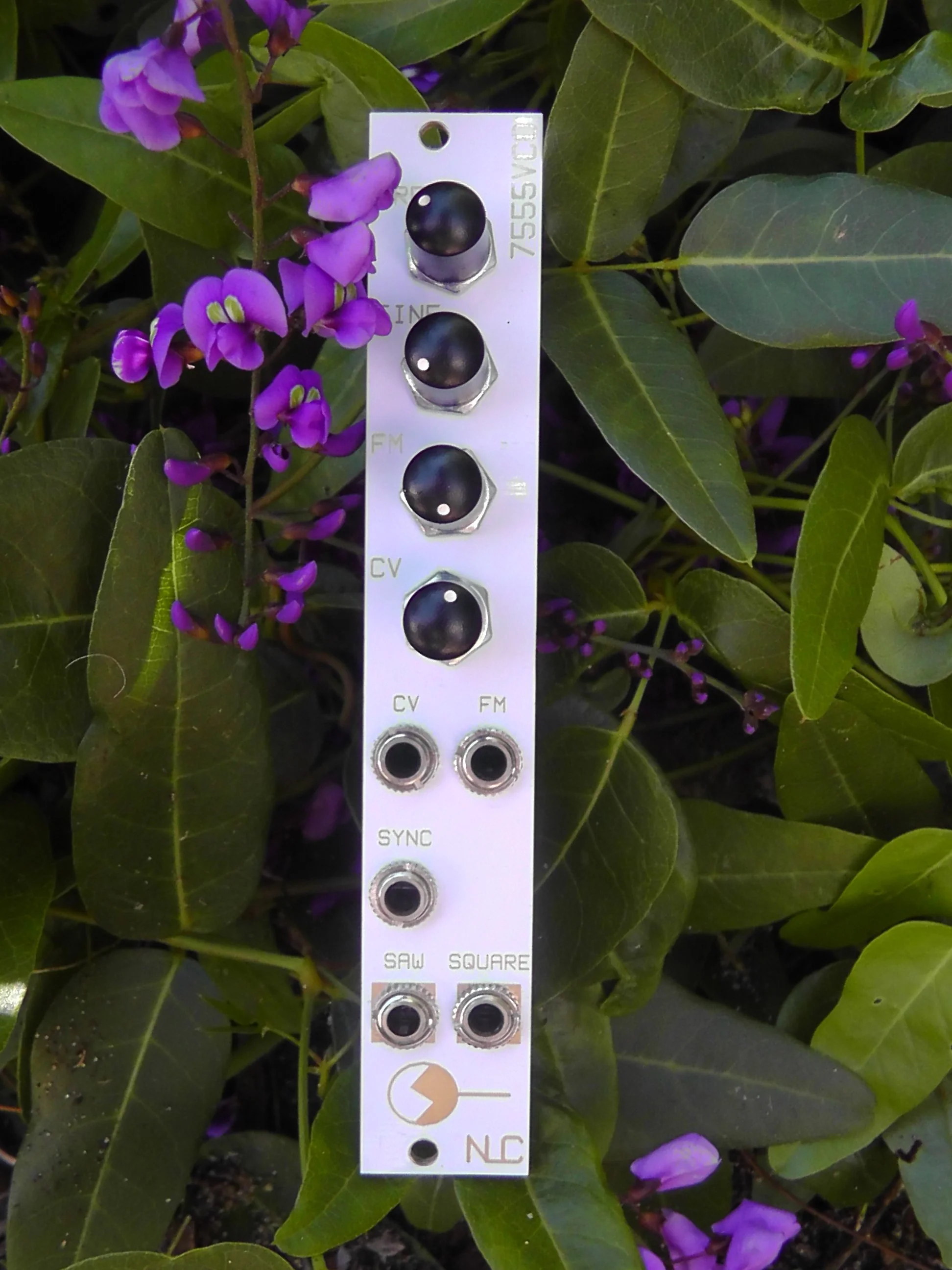 S5210041.JPG