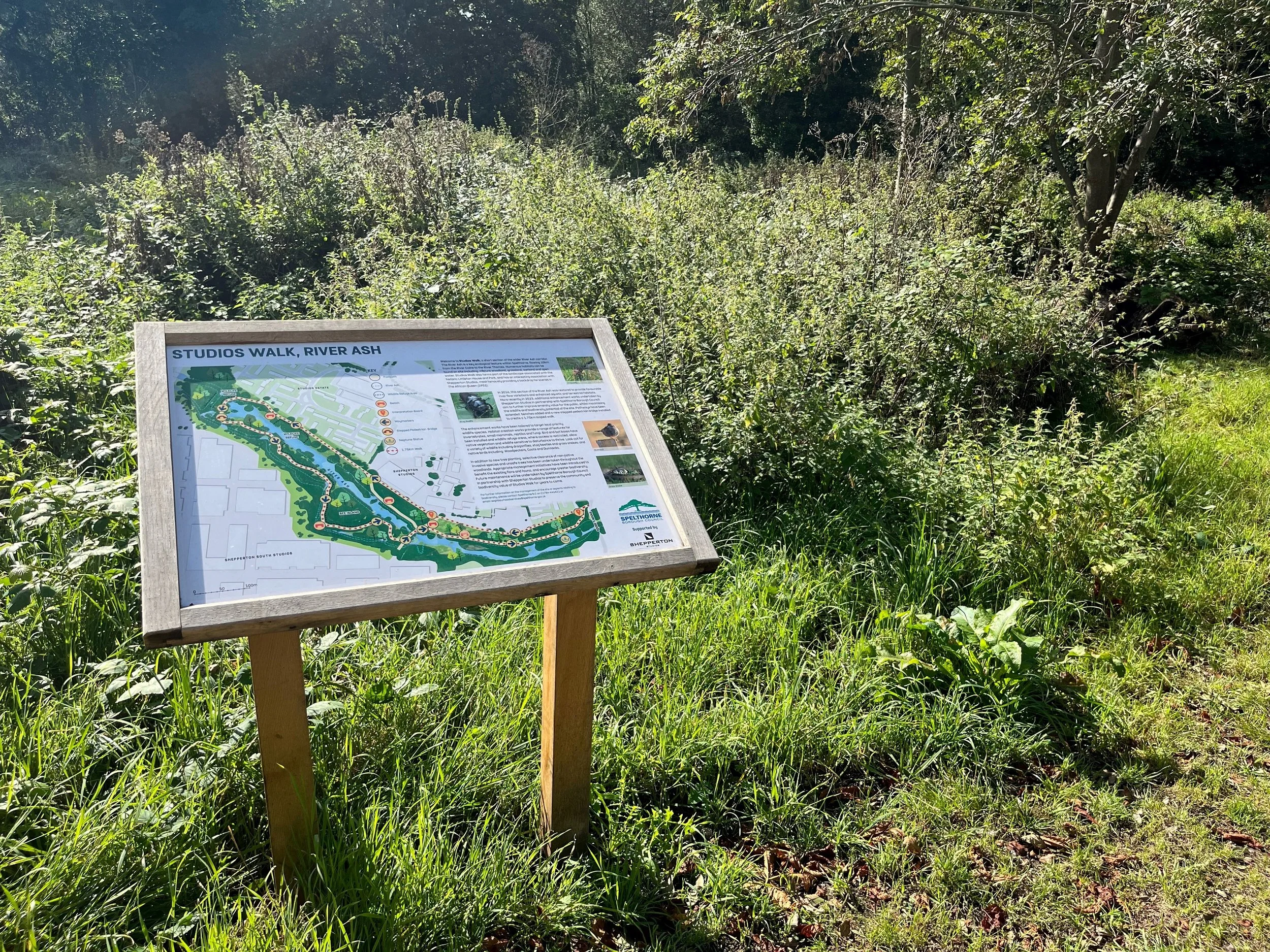 Building a biodiverse woodland walk at Shepperton Studios