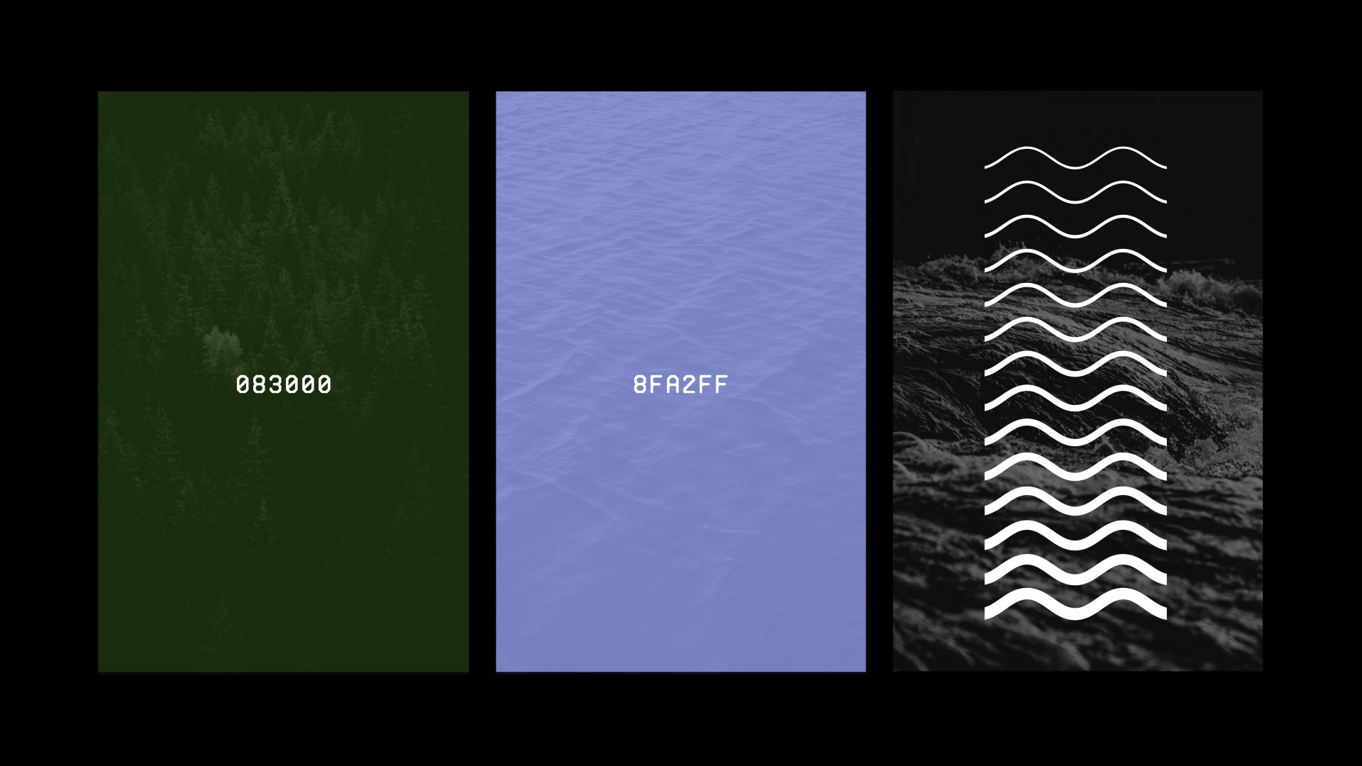 Tridents_Slides.007.jpeg