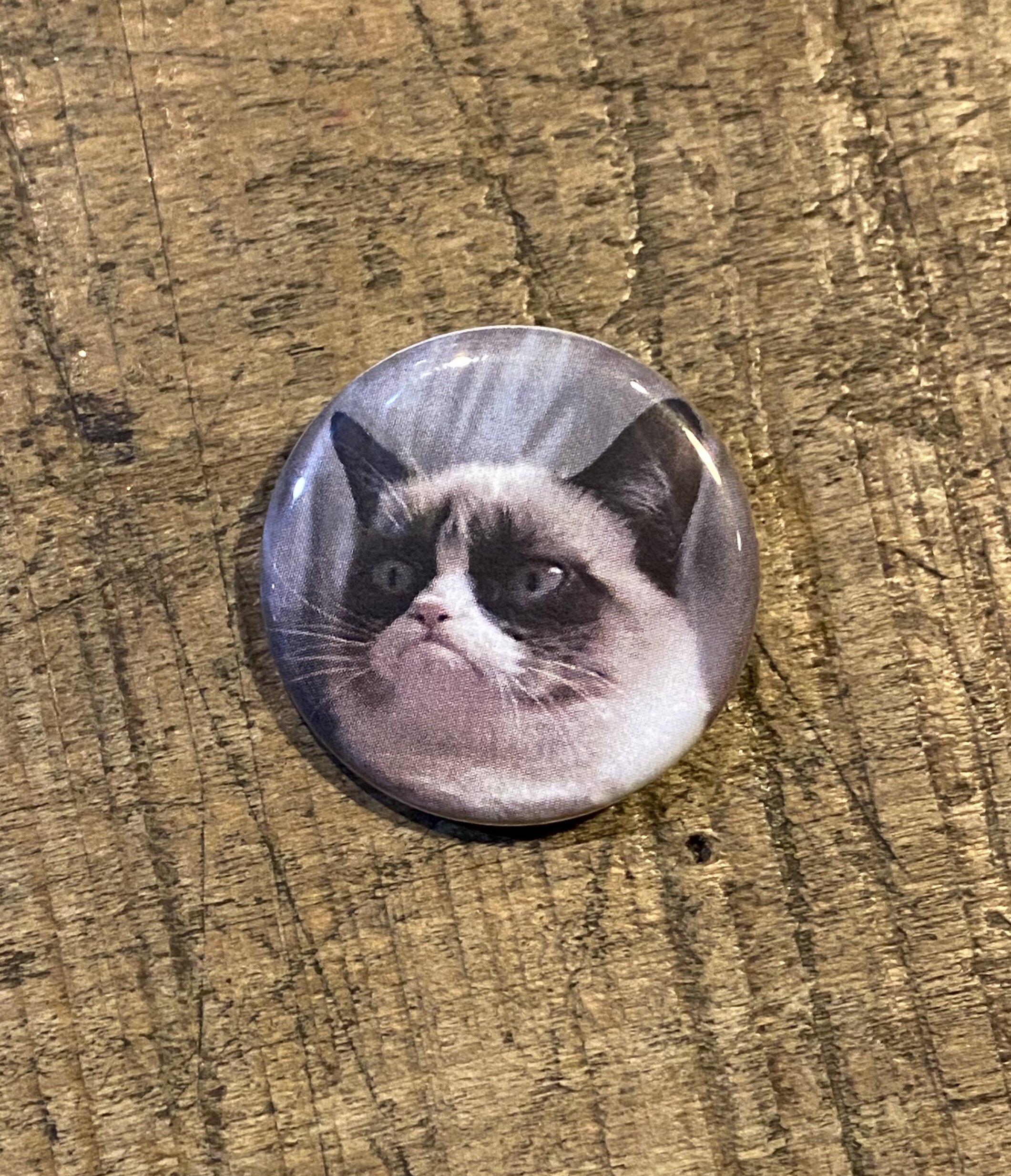 Grumpy Cat.jpg