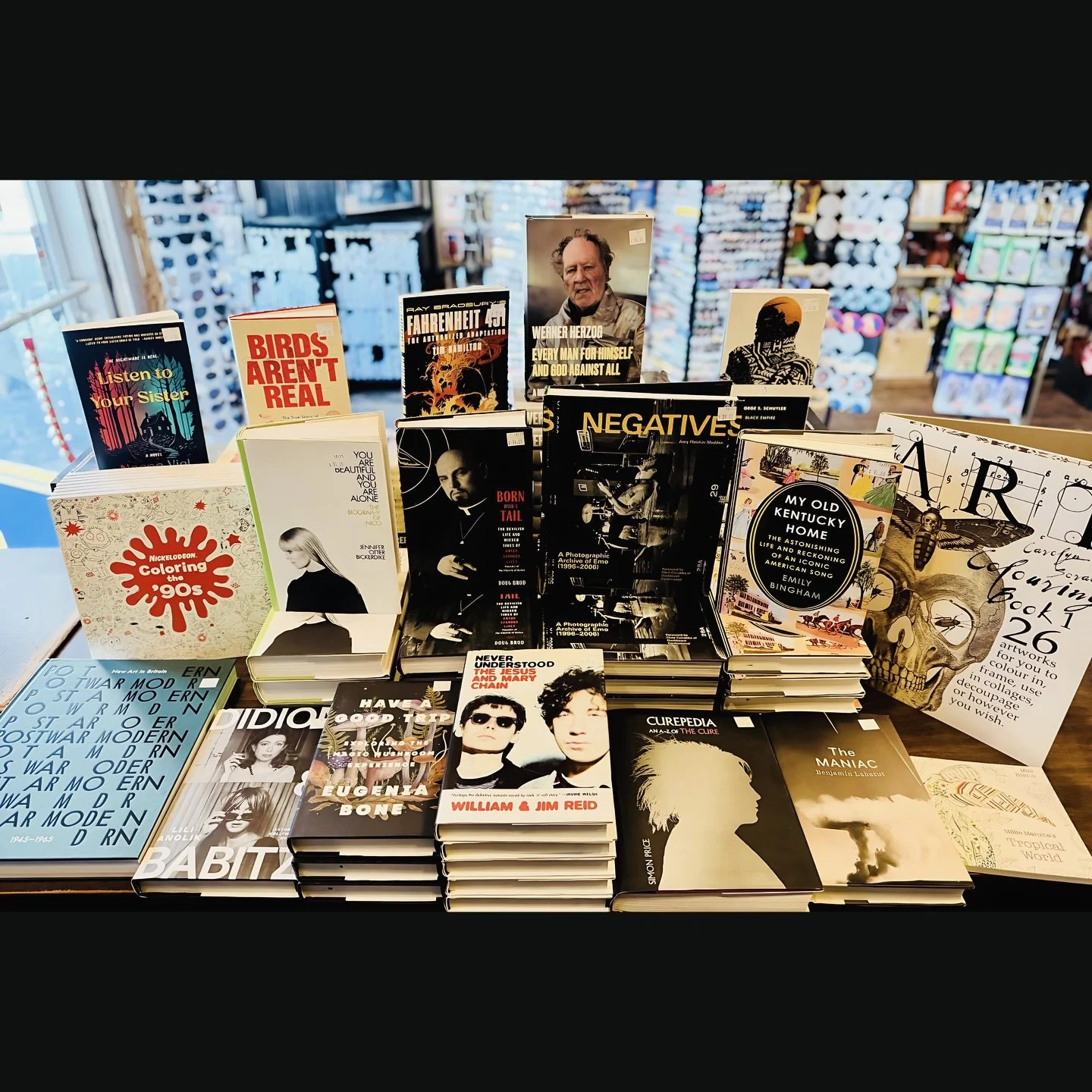 Many new books have been deployed for your reading enjoyment(s). Get deep into the Herzog book and start narrating Christmas dinner in his voice. 
#fatrabbitky #herzog #books