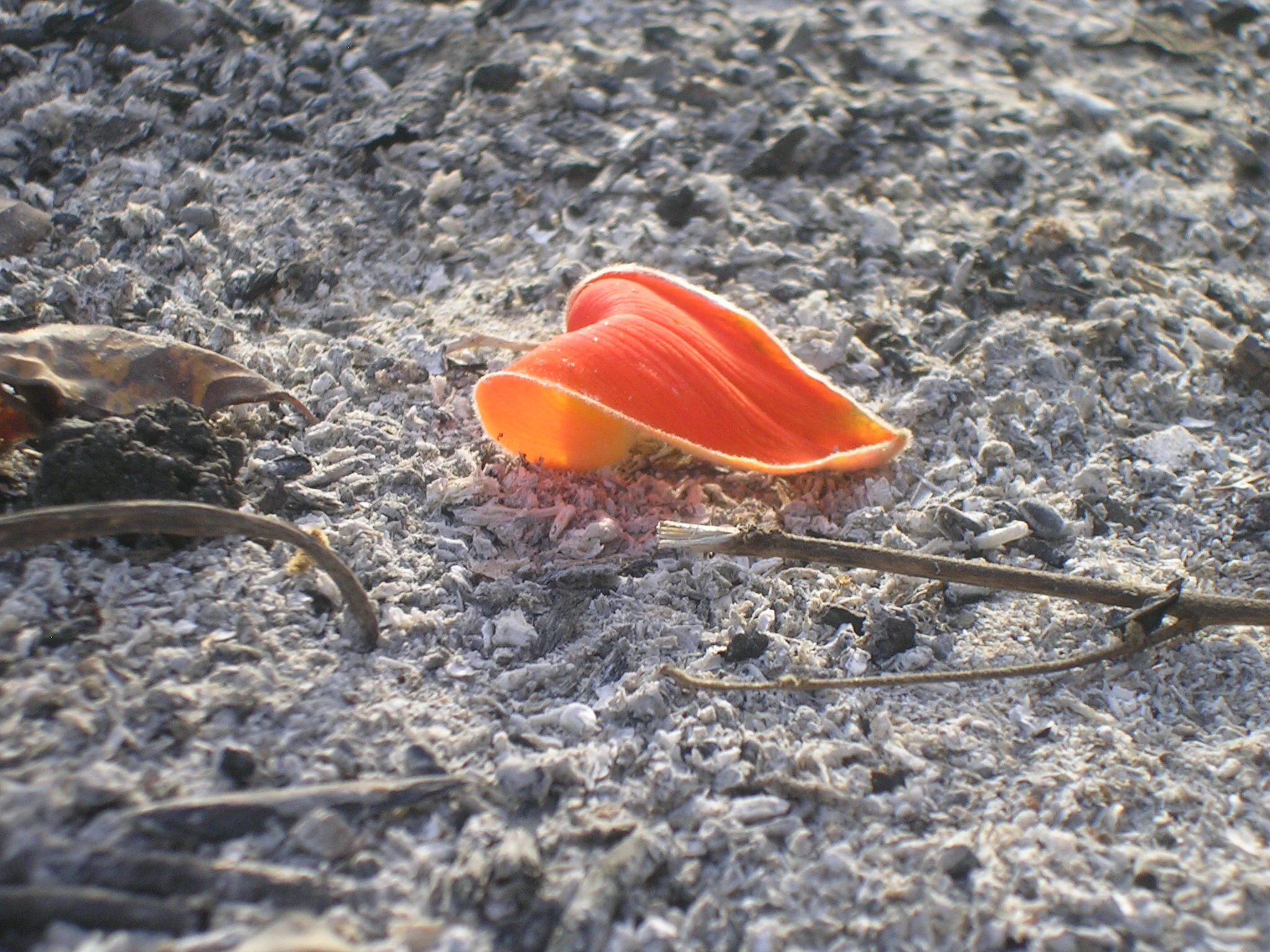 DSCN2134.JPG