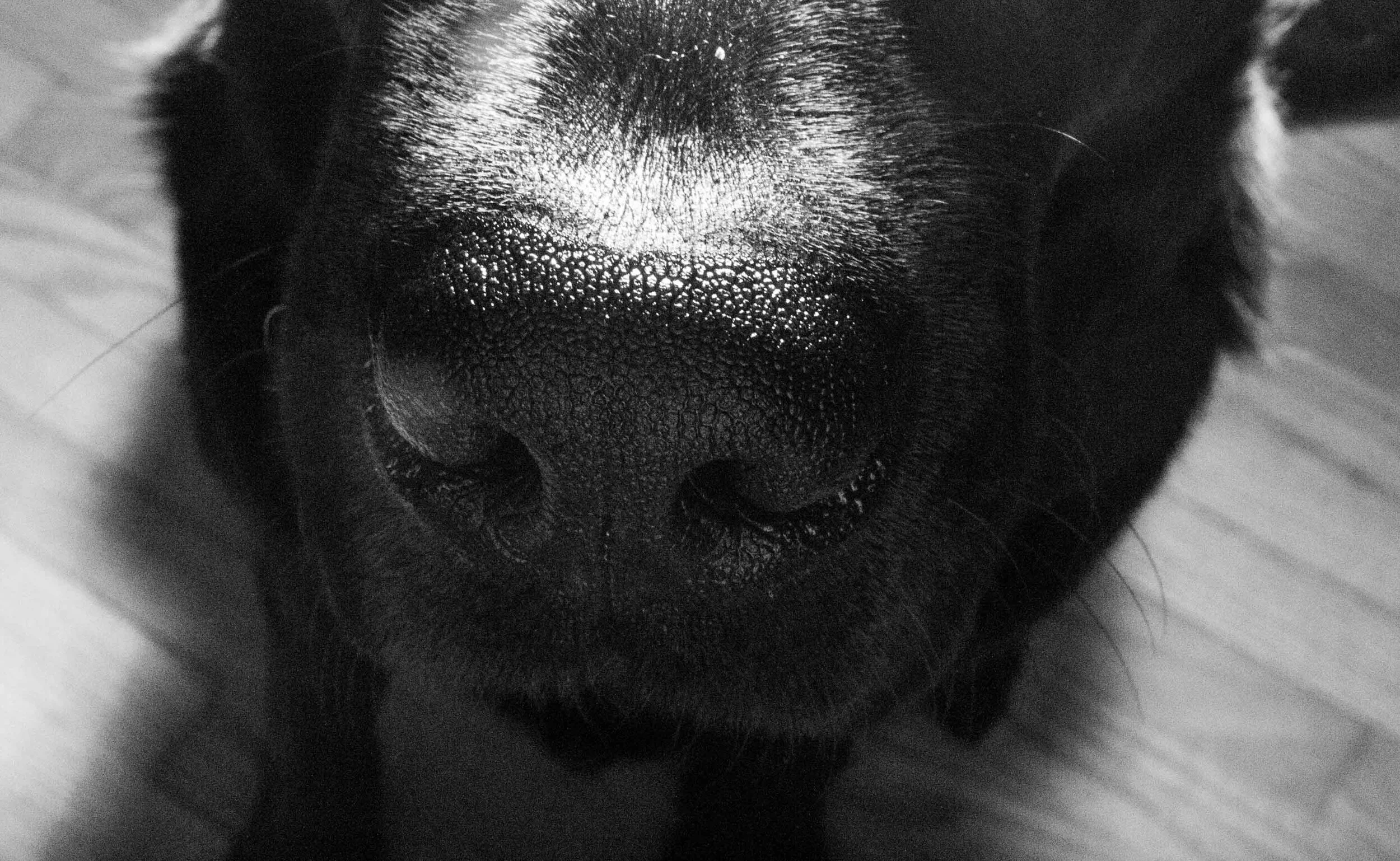DSC_0114.jpg