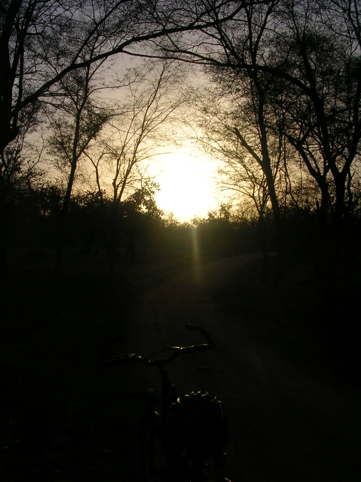 DSCN2166.JPG