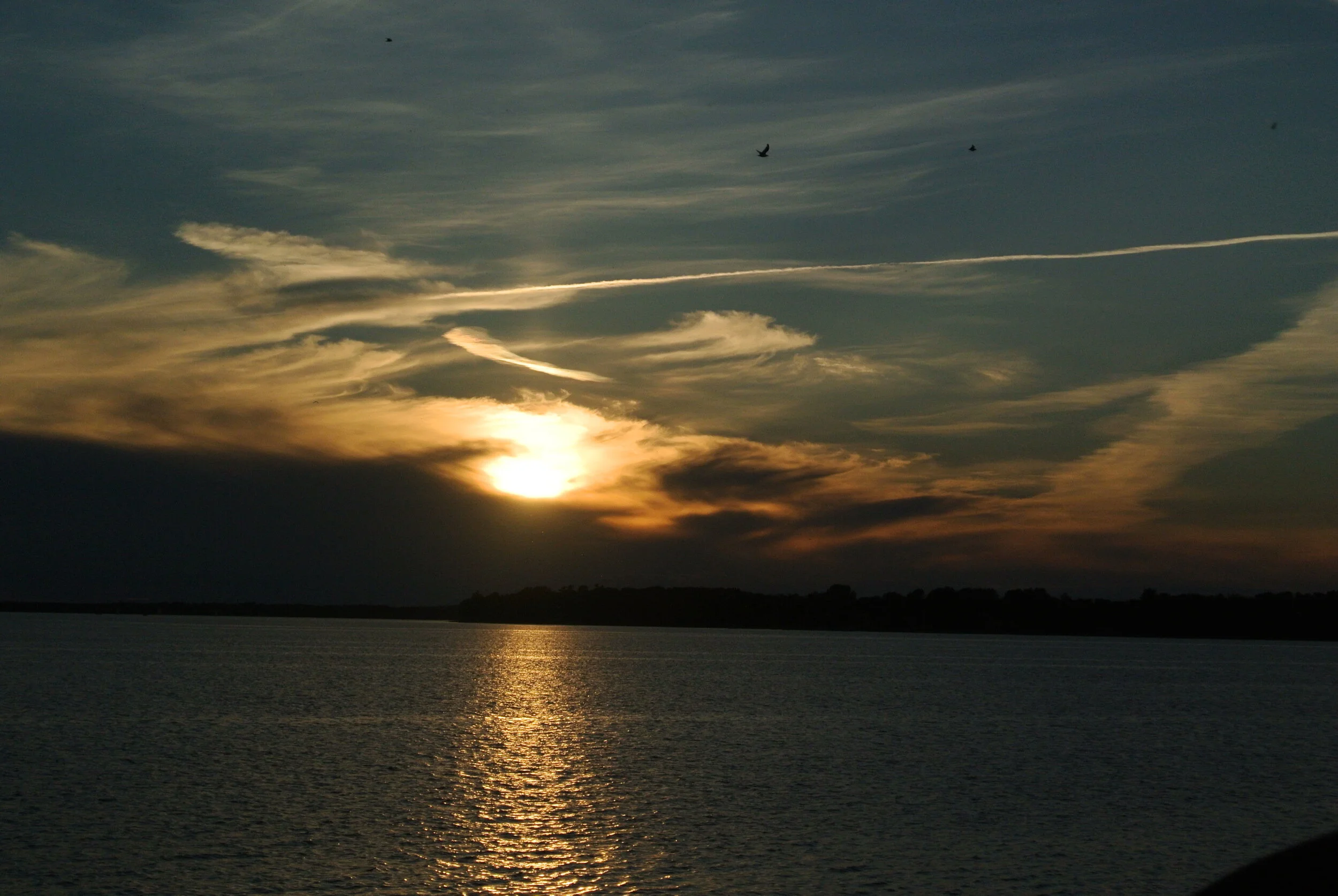 DSC_4312.JPG