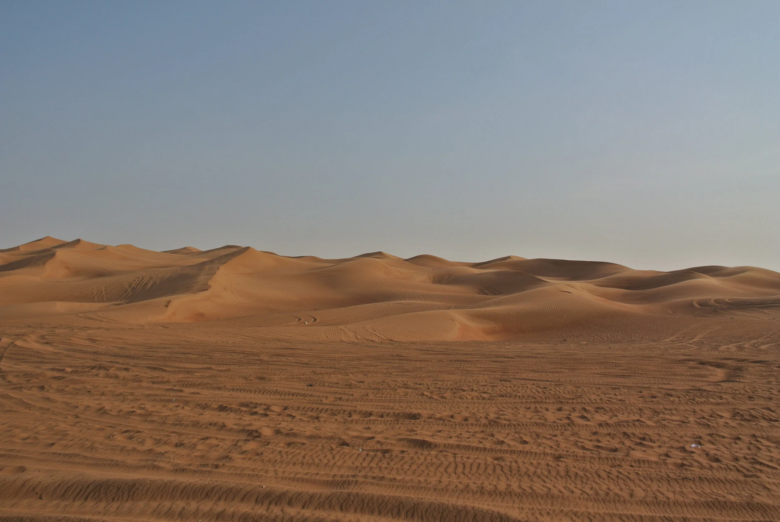 DSC_3499.JPG