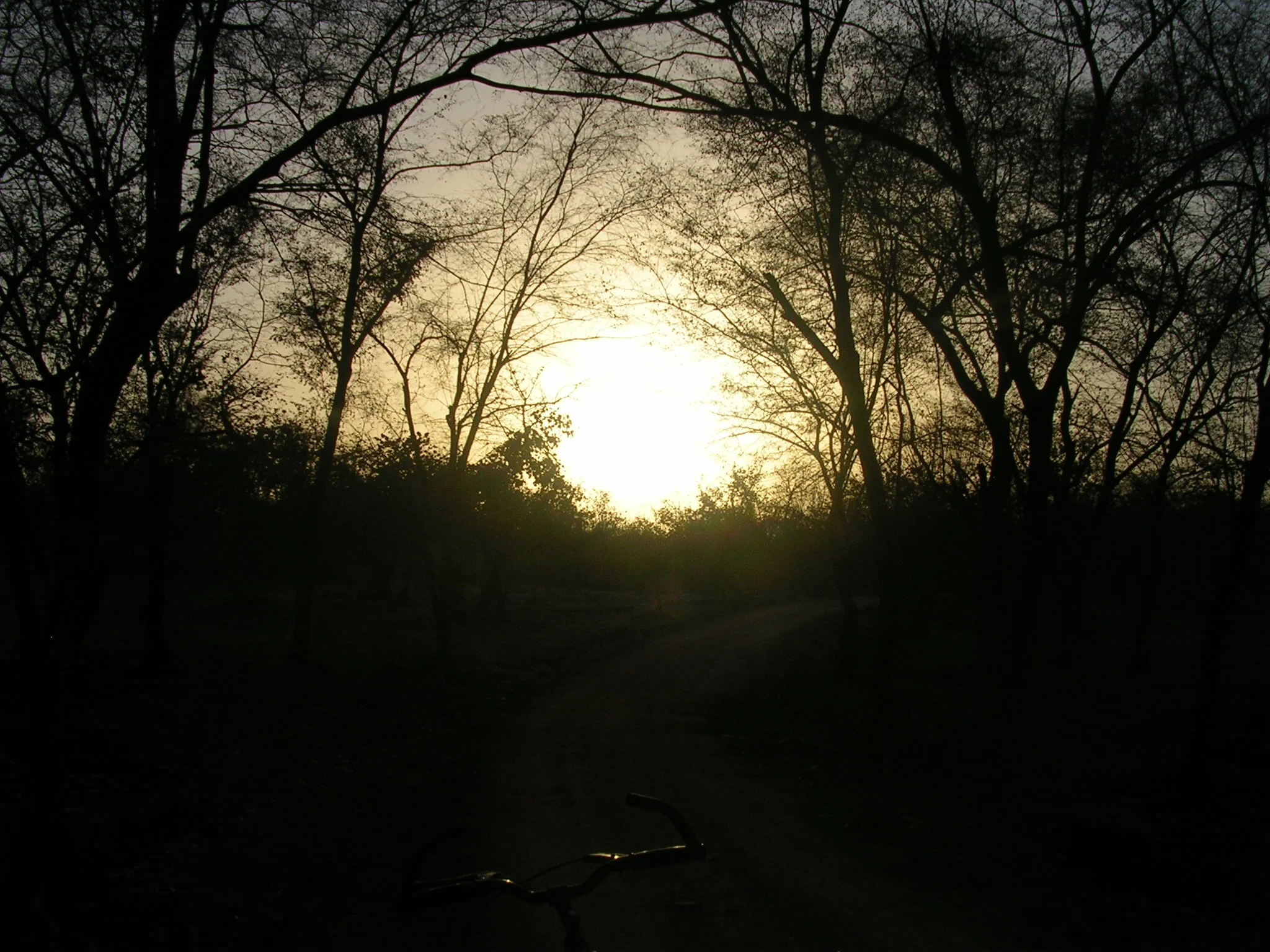 DSCN2165.JPG
