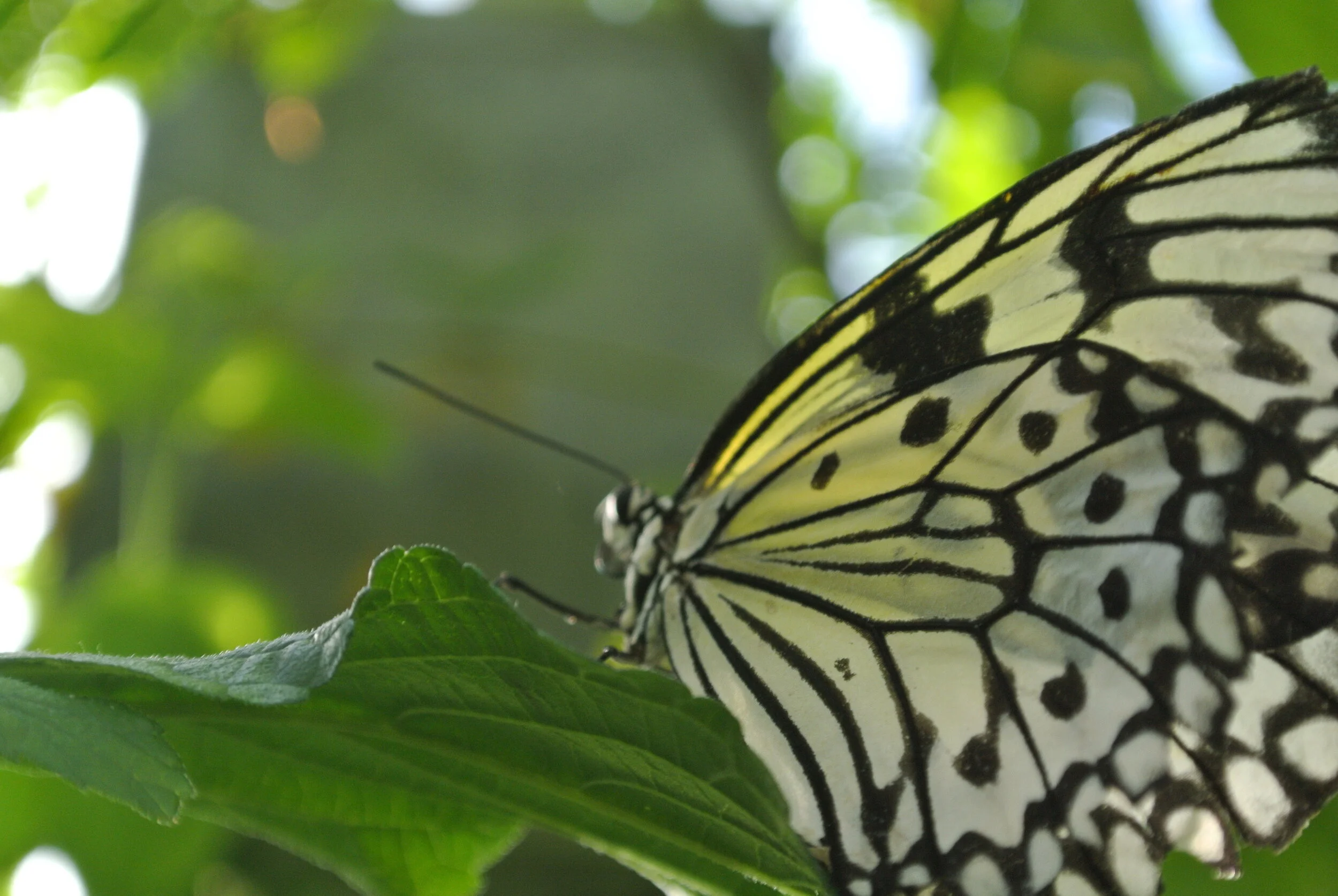 DSC_5510.JPG