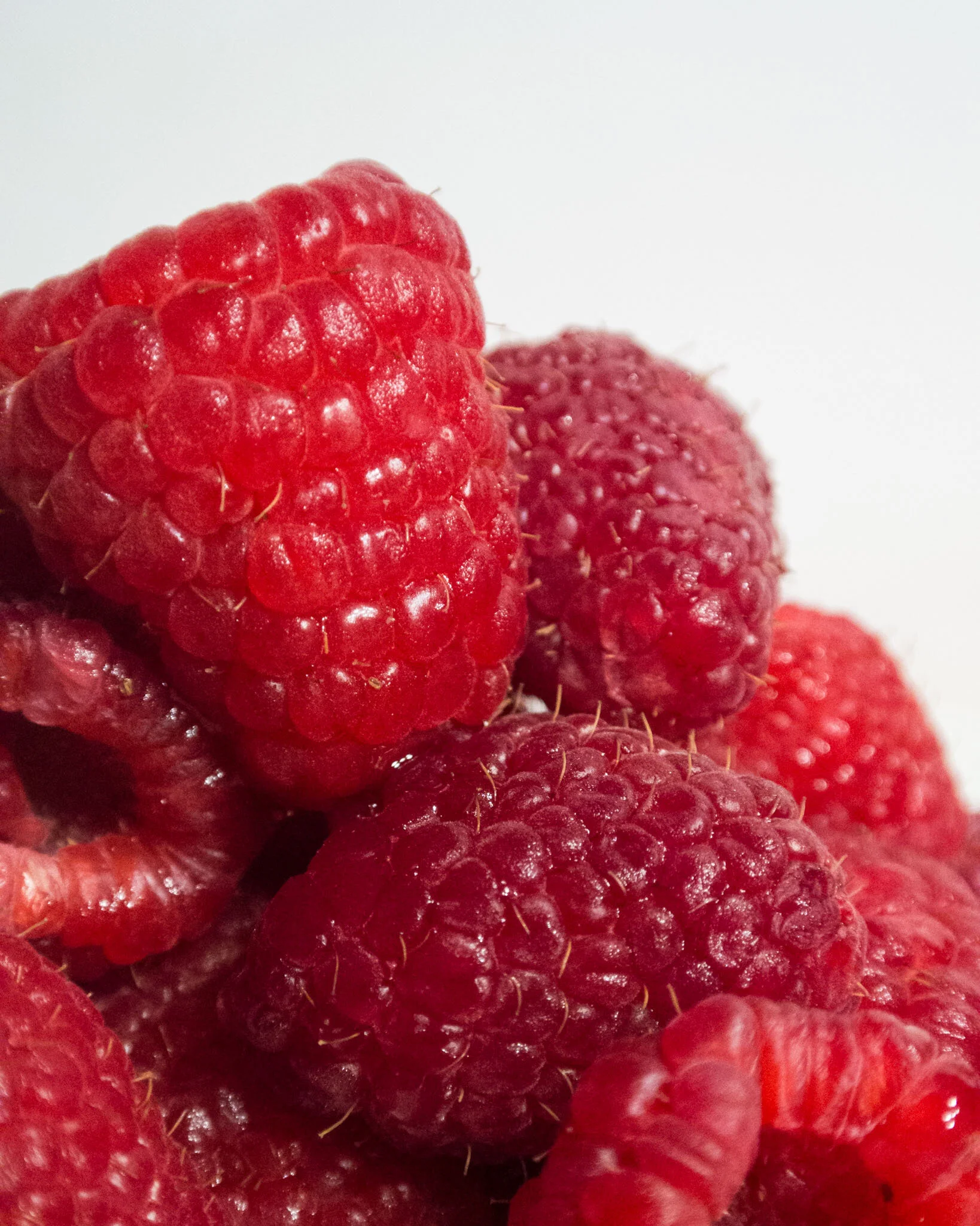 4_Jurschewsky_K_Raspberry.jpg