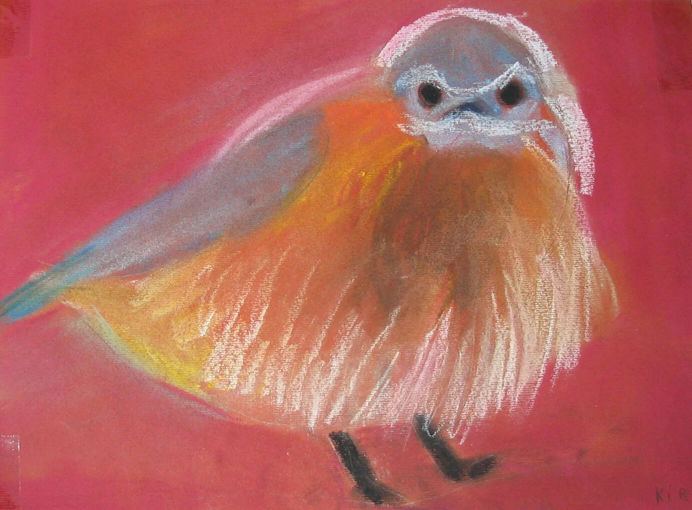 bird.jpg