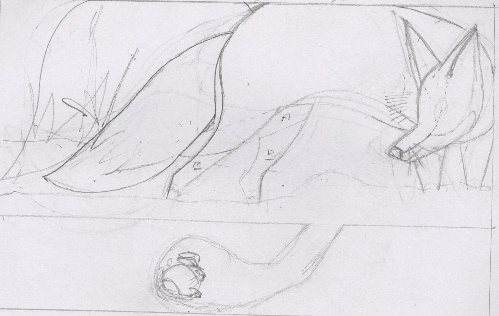 Ruff sketch