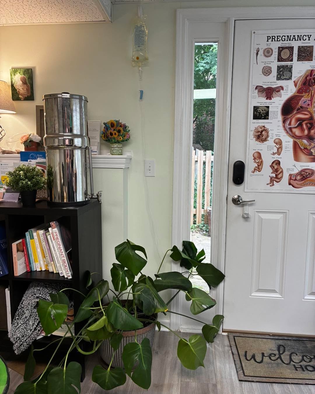 We adopted a beautiful Monstera today to come be a part of the Binah family! And like everyone else, she most definitely needs an IV!!! But she needs a name, y’all. Throw out some ideas for us! Help us name this gorgeous plant!