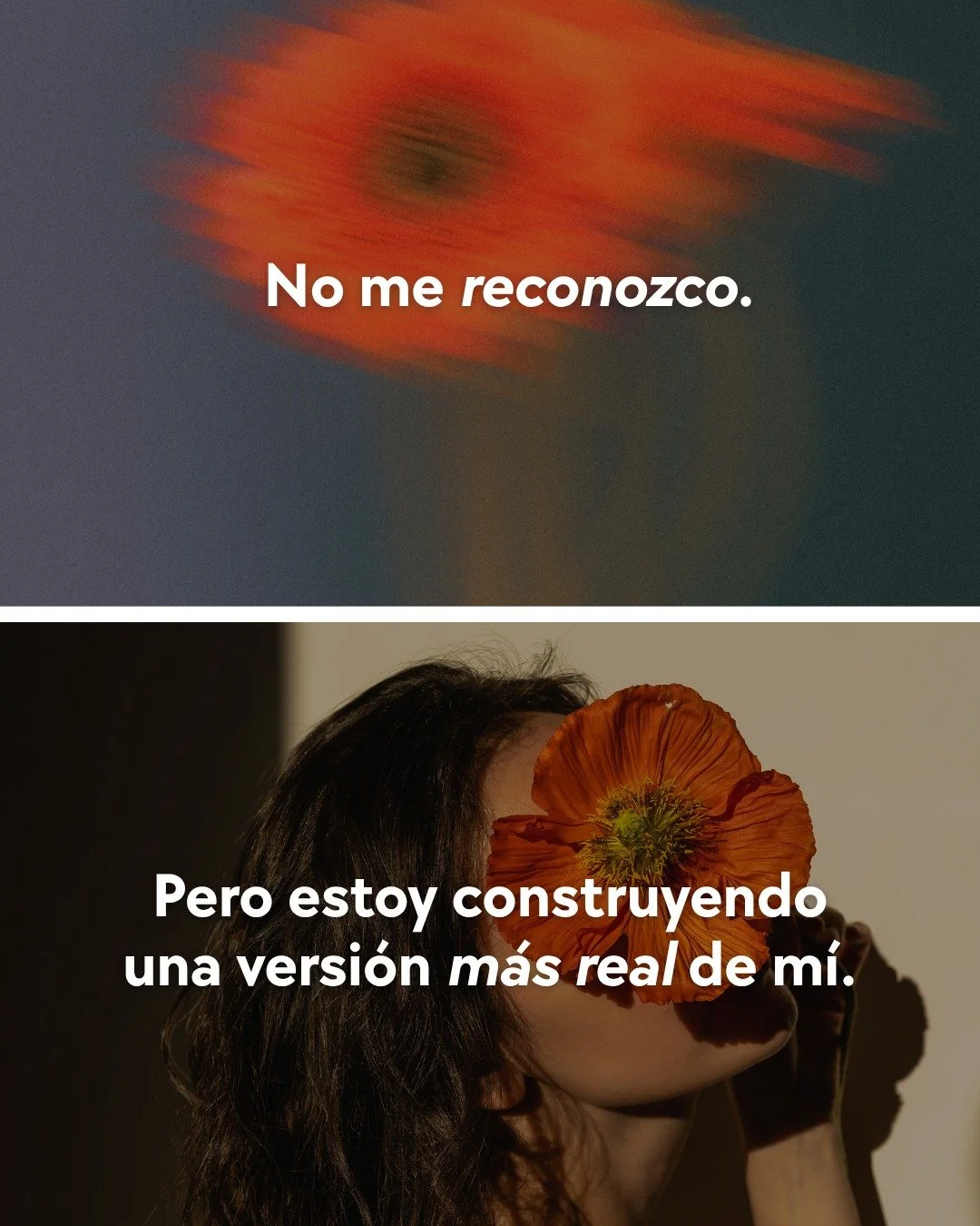 A veces sentimos que se nos rompi&oacute; el coraz&oacute;n&hellip;pero lo que realmente se rompi&oacute; fue la versi&oacute;n de nosotras que ya no pod&iacute;a sostener lo mismo. 🌙
No est&aacute;s rota. Est&aacute;s transform&aacute;ndote.

Est&a