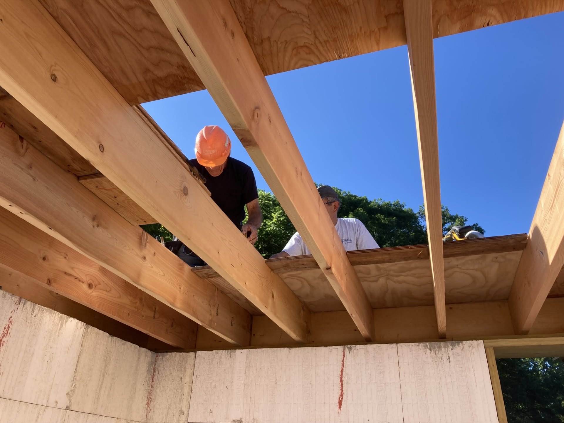 bigelowjoist.jpg