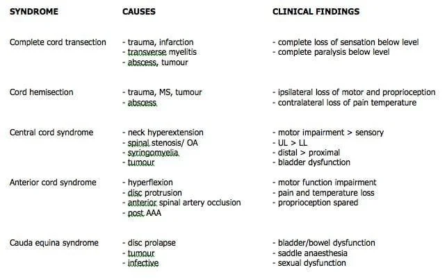 spinal-cord-syndromes-1.jpg