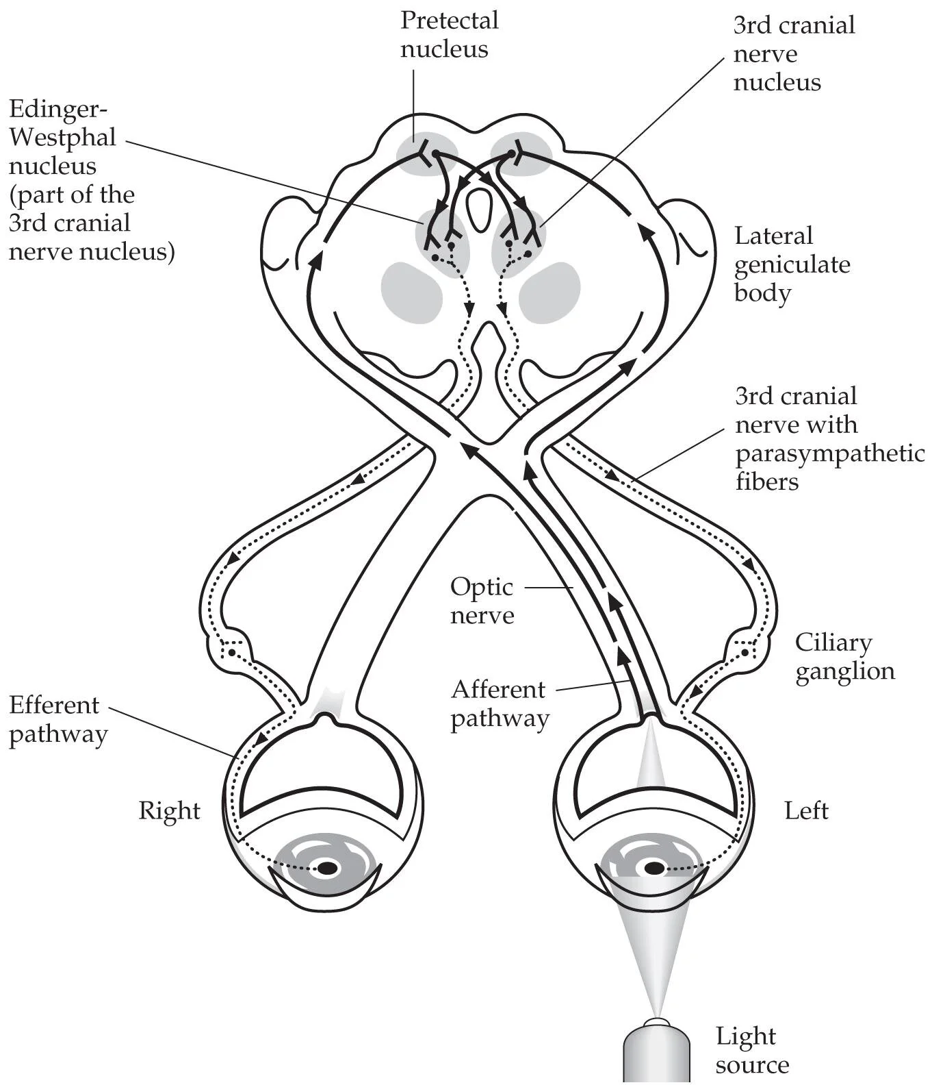 AA0_55117-1.jpg