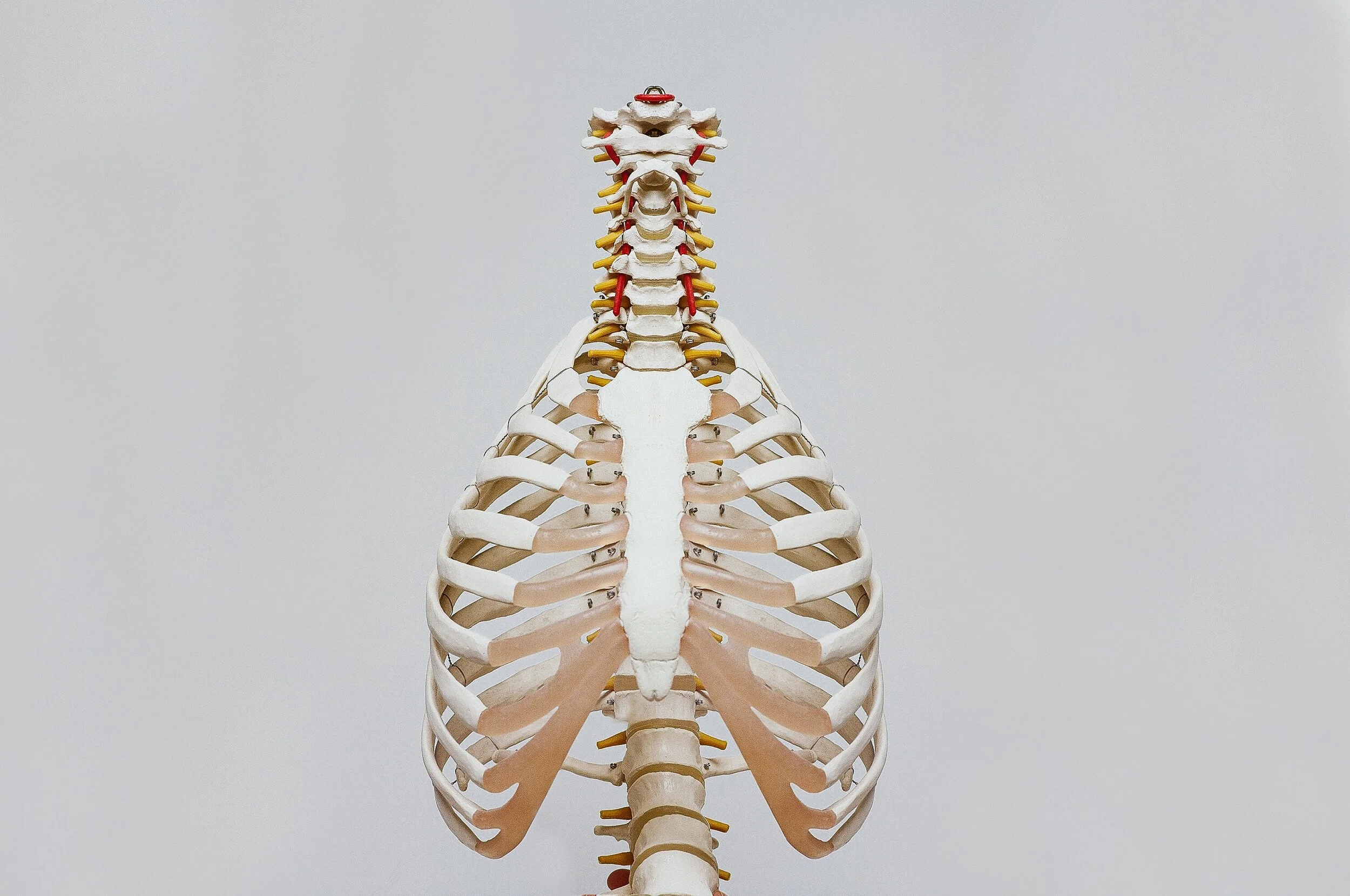10 March 2021 - Respiratory I