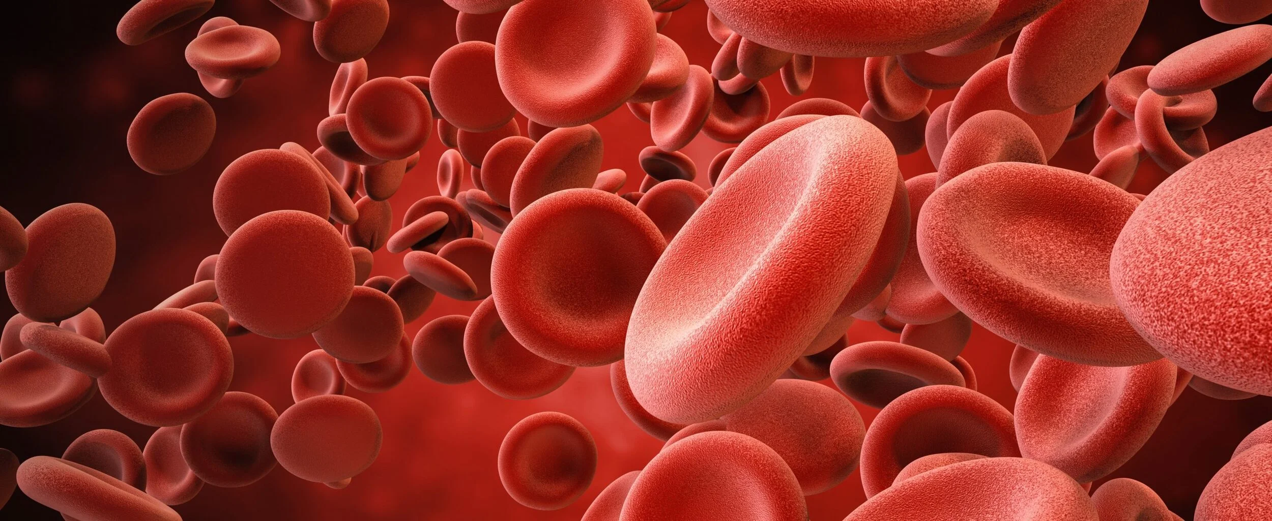 11 August 2021 - Haematology & Orthopaedics