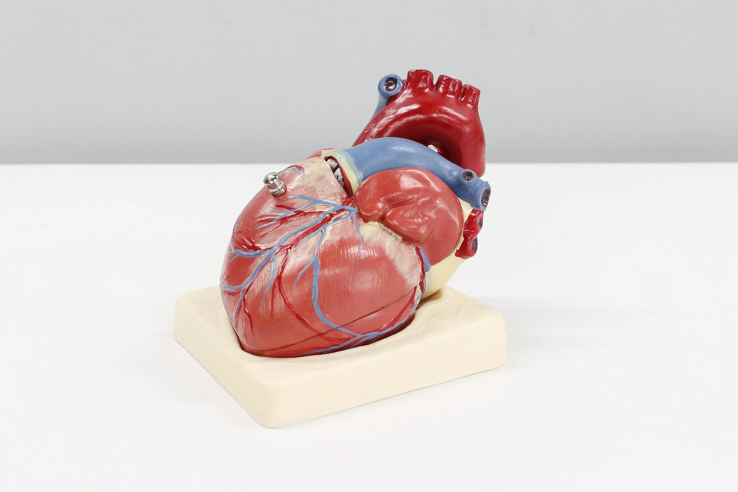 6 October 2021 - Cardiology