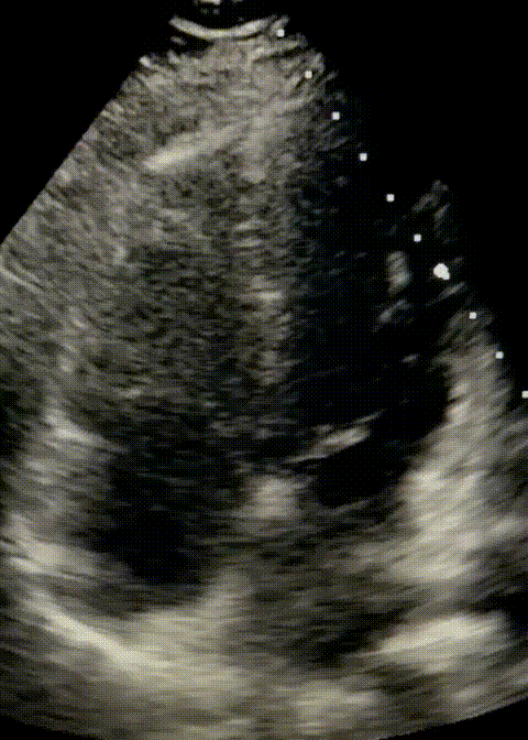 VID-20211016-WA0002.gif
