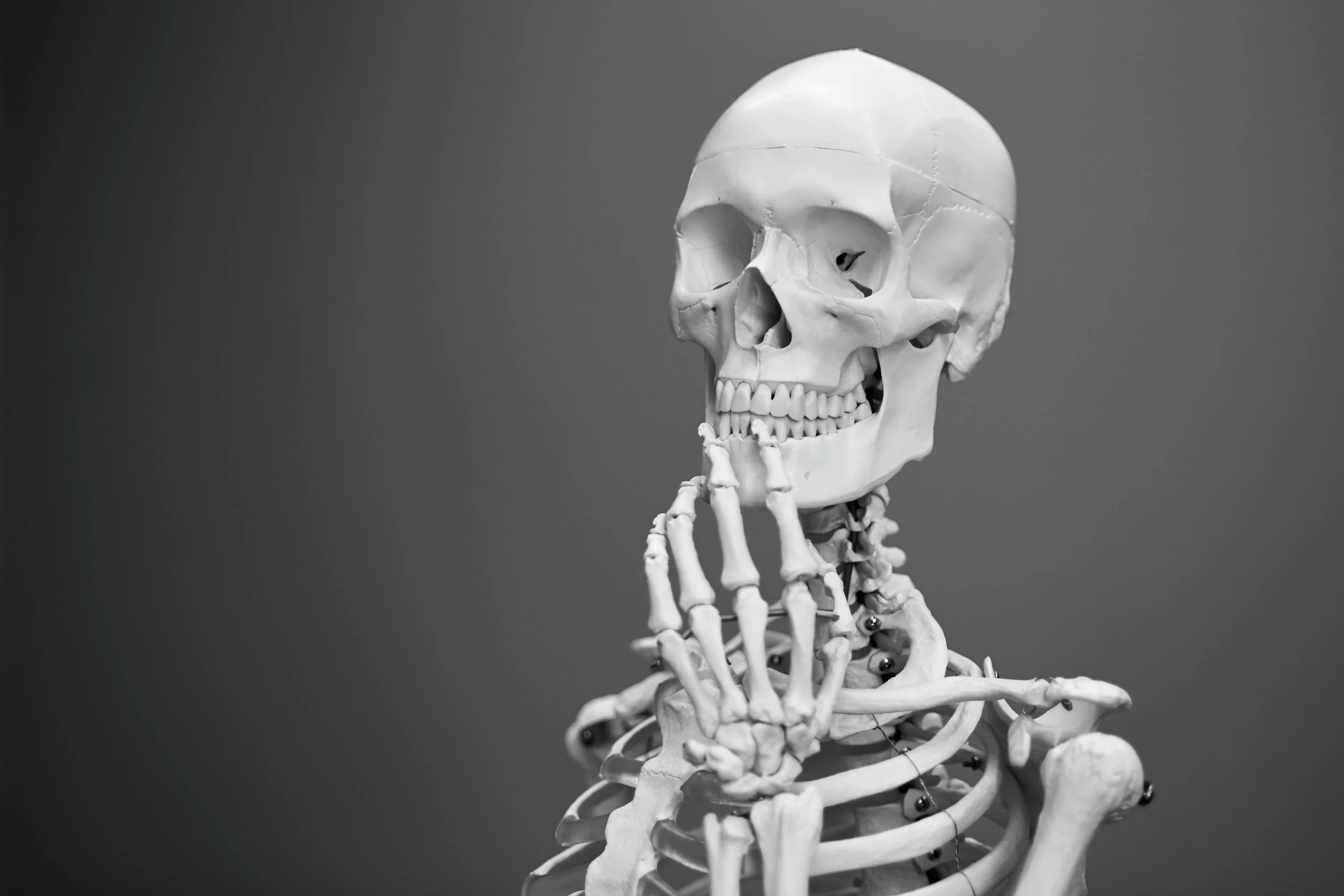 19 January 2022 - Ortho
