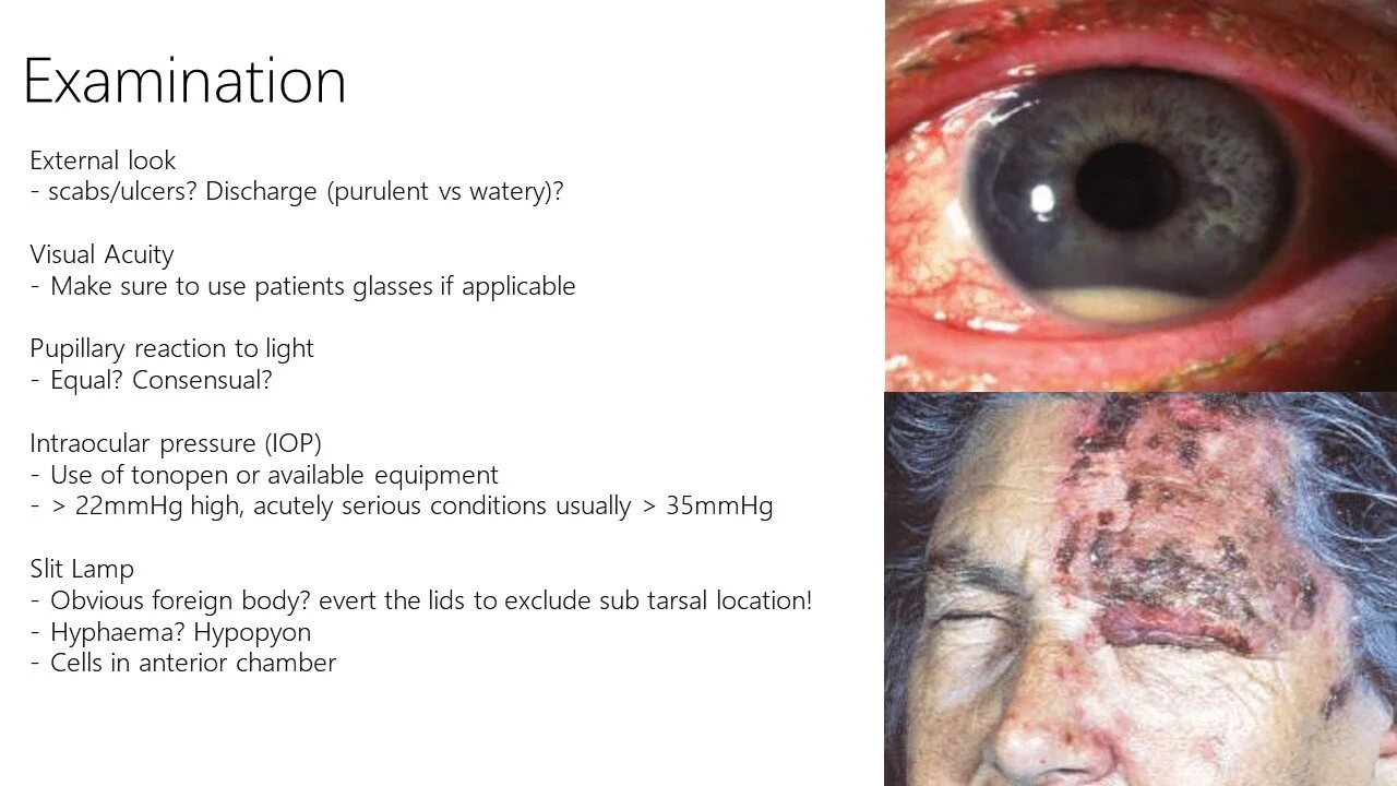 Slide5.JPG