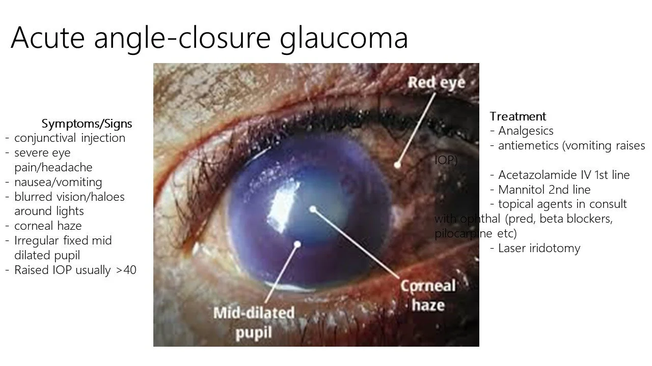 Slide11.JPG