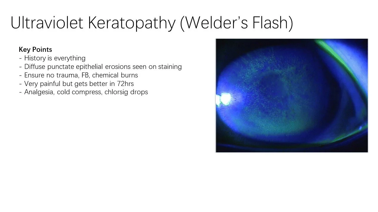 Slide16.JPG
