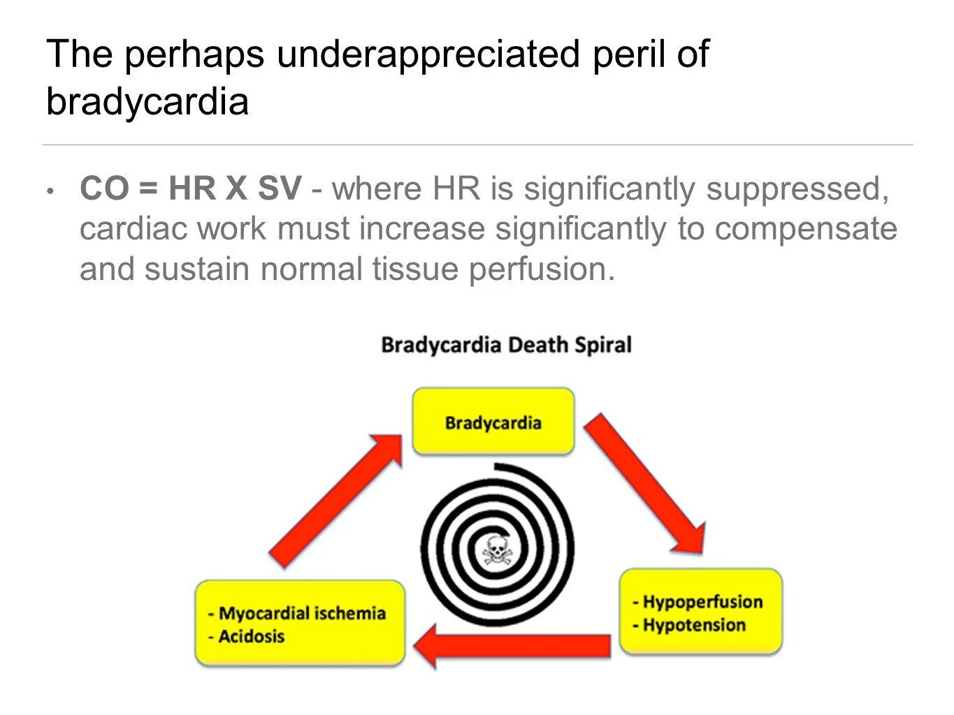 Slide4.JPG