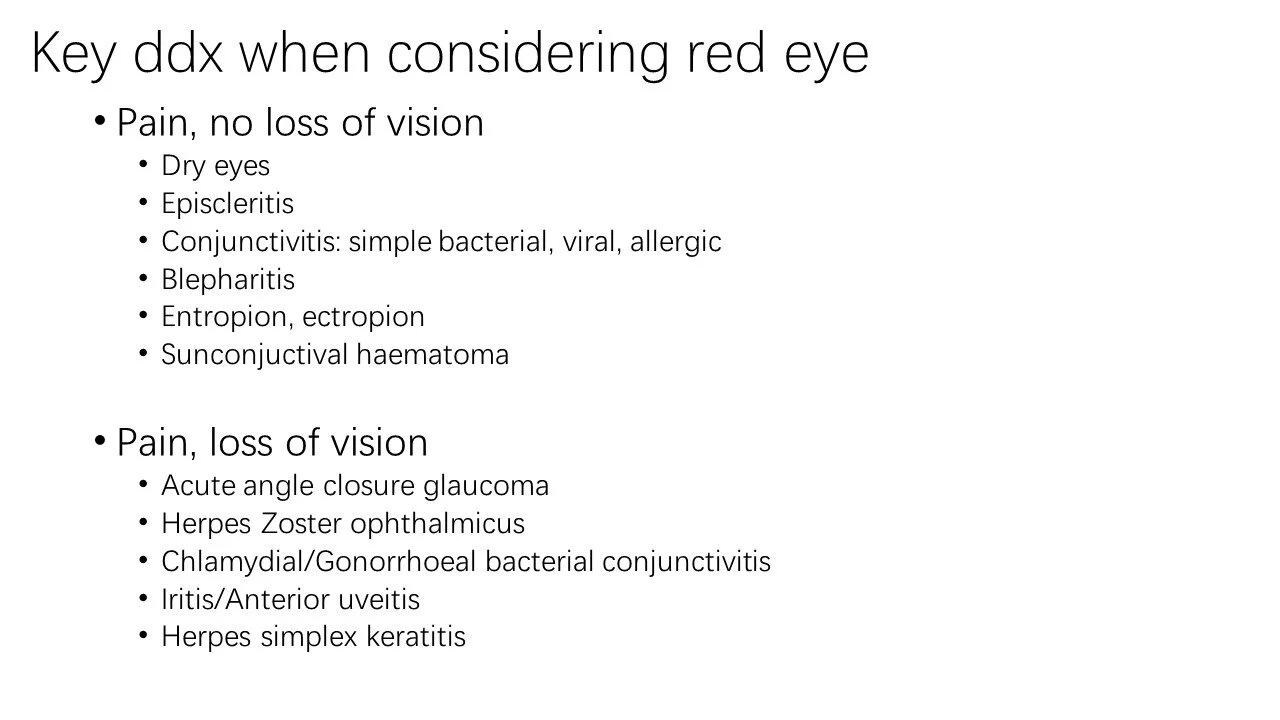 Slide7.JPG