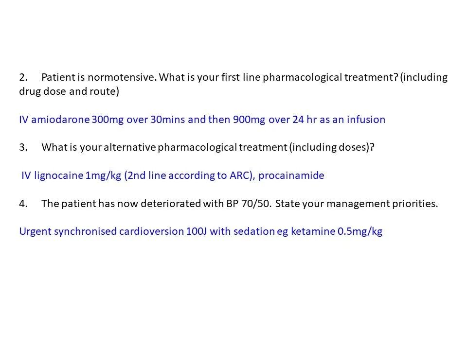 Slide13.JPG