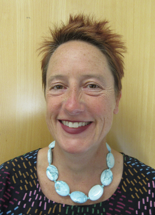 Dr Georgina Phillips --- Background: A St V blueblood- medical student early 90’s, intern, resident, Reg, consultant here. Now part time St V, part time International EM, Pacific. PNG, Fiji, Myanmar, Solomon Islands, Kiribati. 
Medical Interests: See